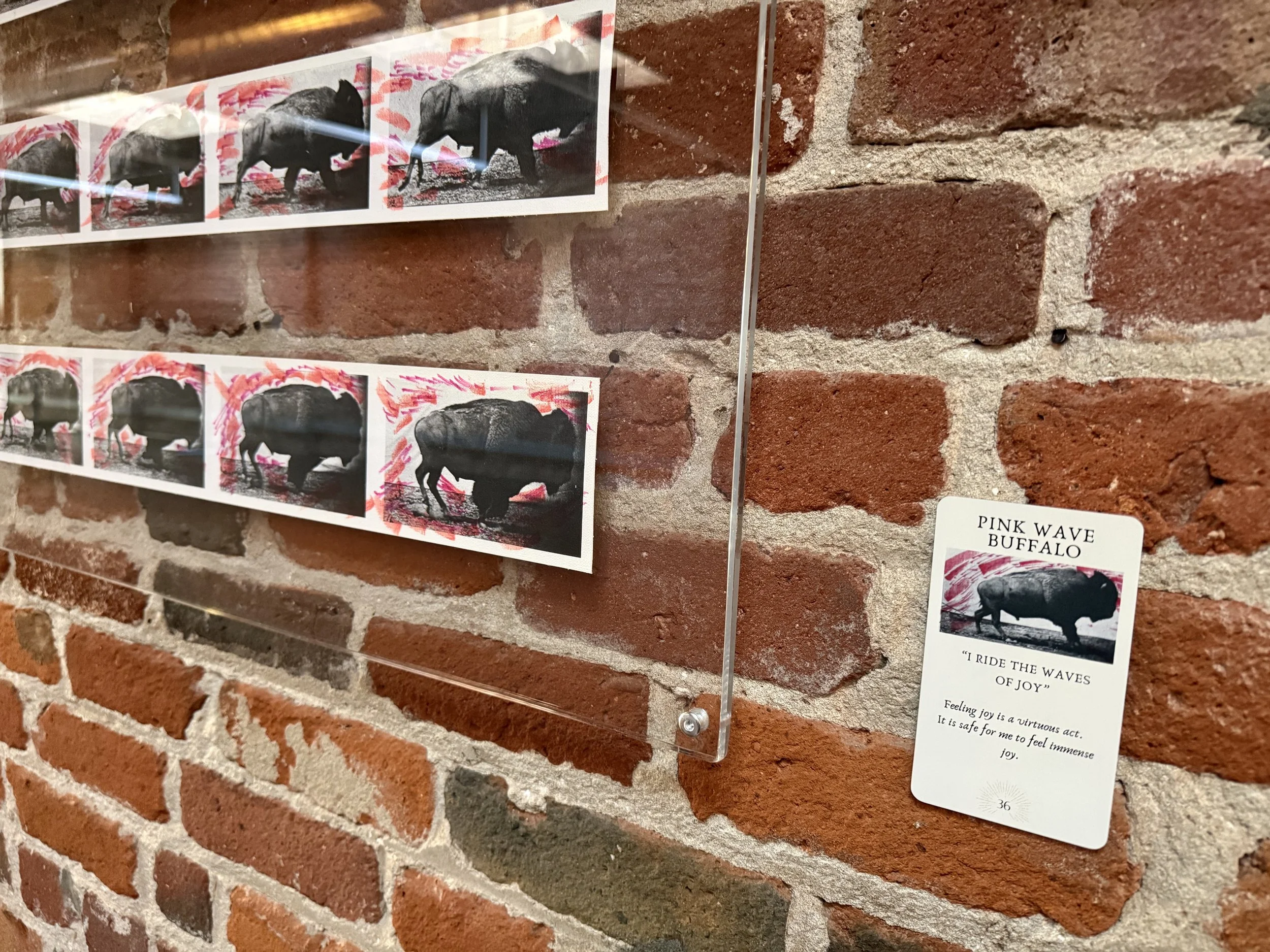 36. Pink Wave Buffalo 36.jpeg