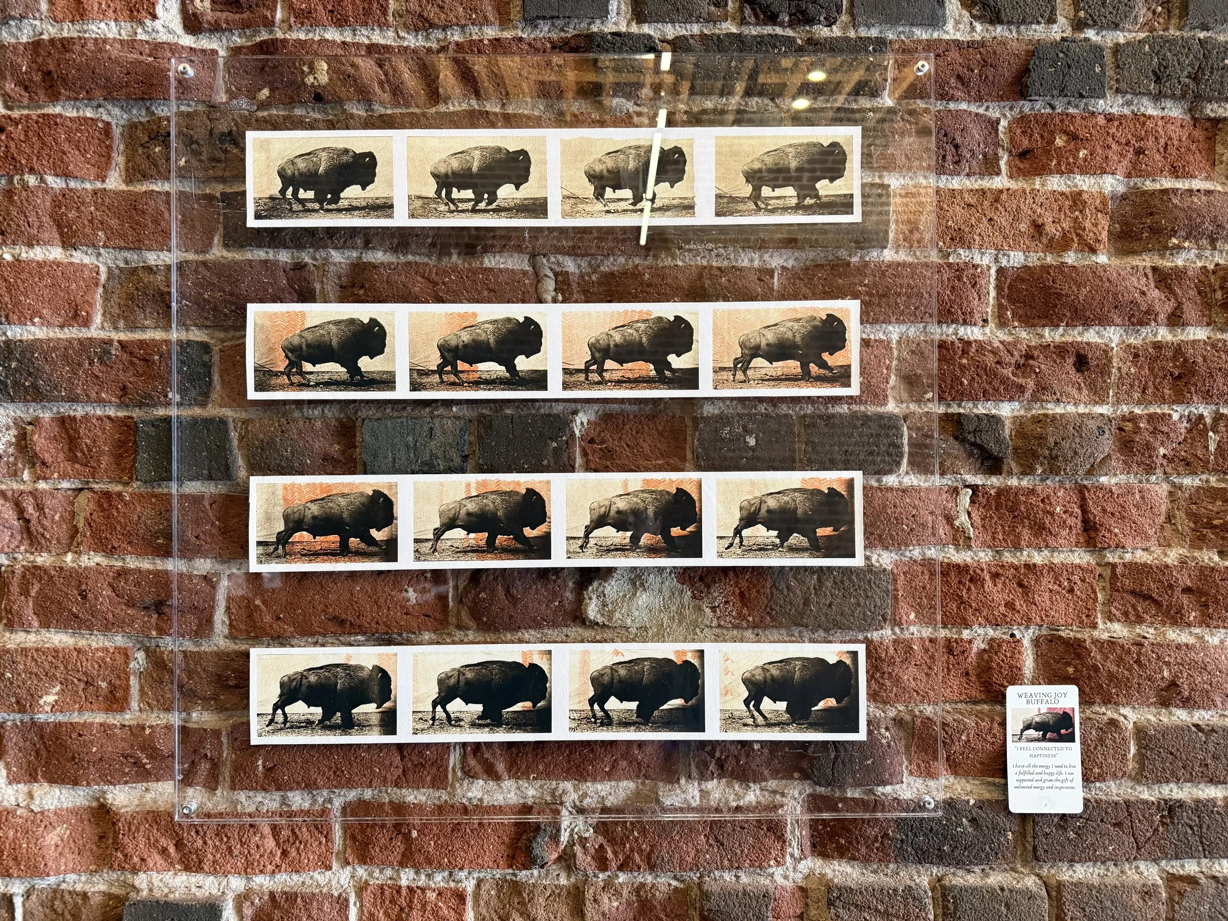 2. Weaving Joy Buffalo.jpeg