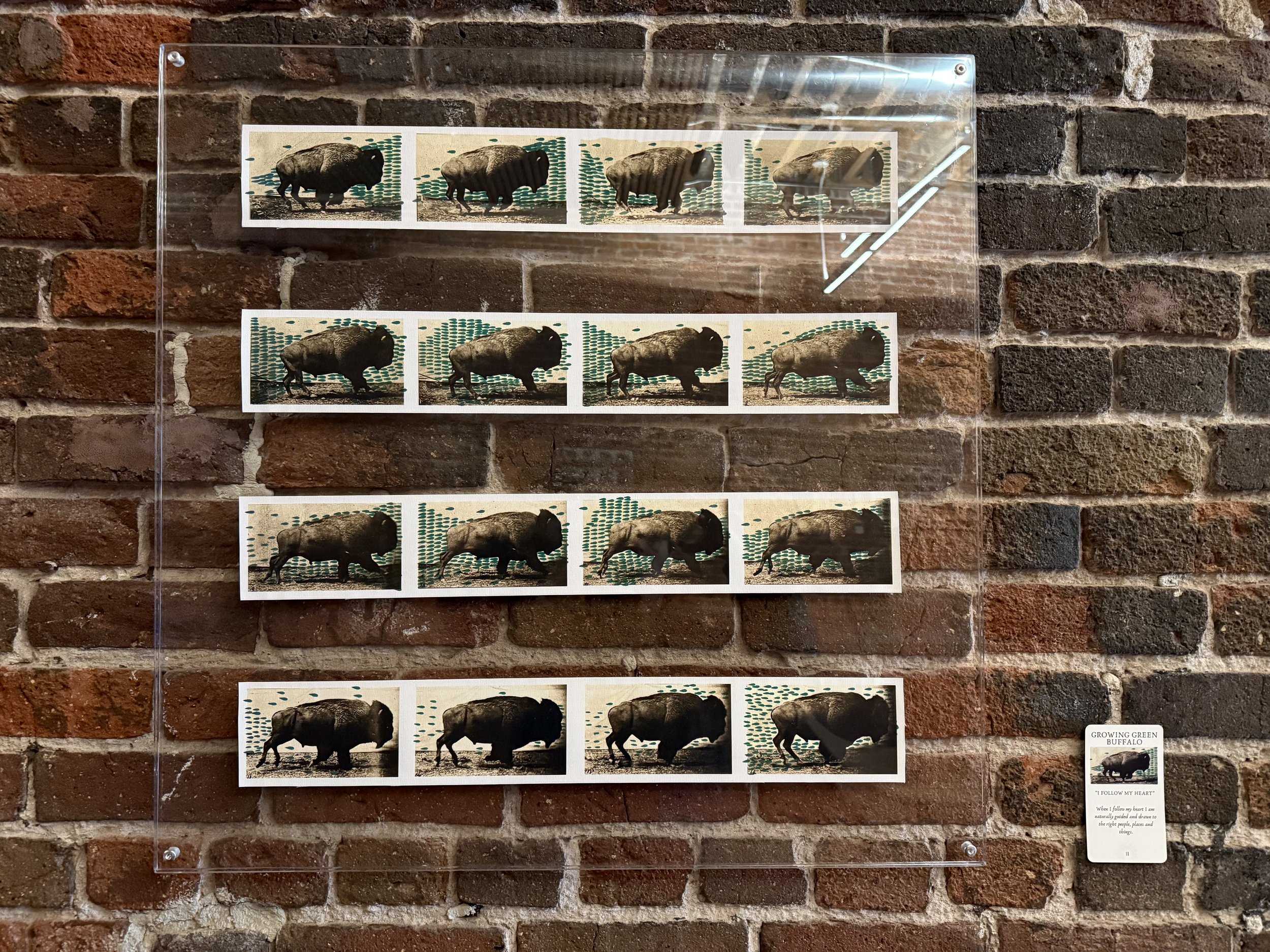 11. Growing Green Buffalo.jpeg