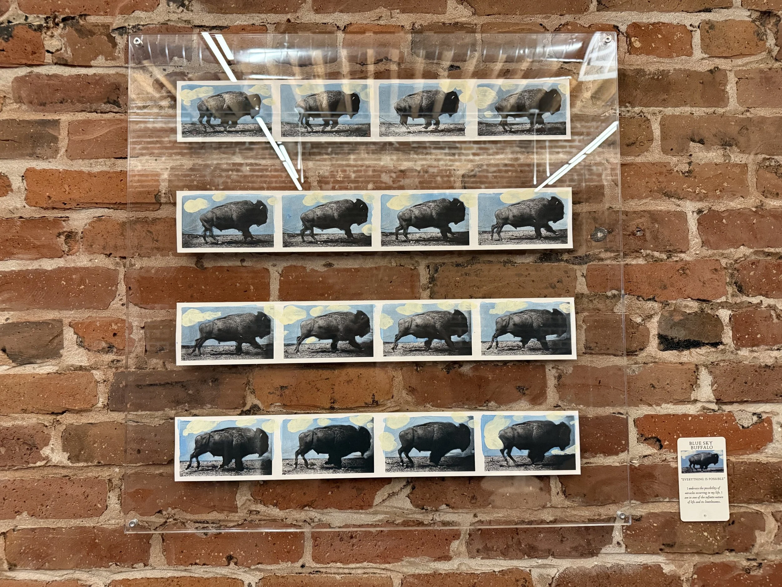 19. Blue Sky Buffalo.jpeg