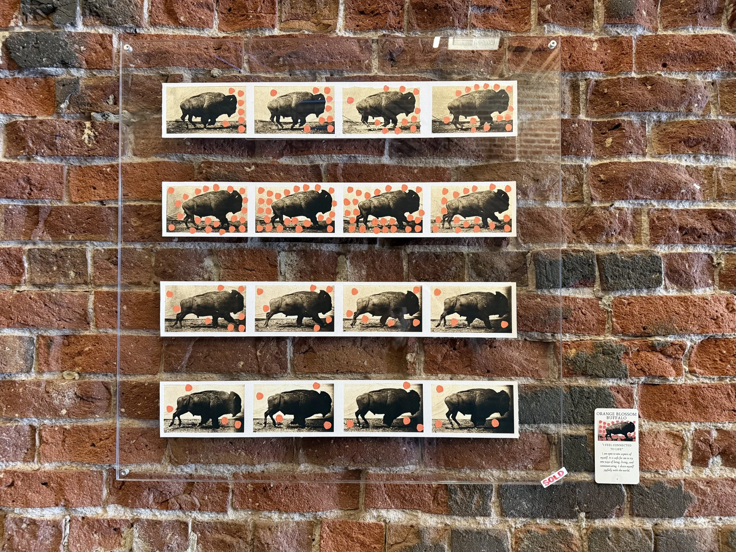 4. Orange Blossom Buffalo.jpeg