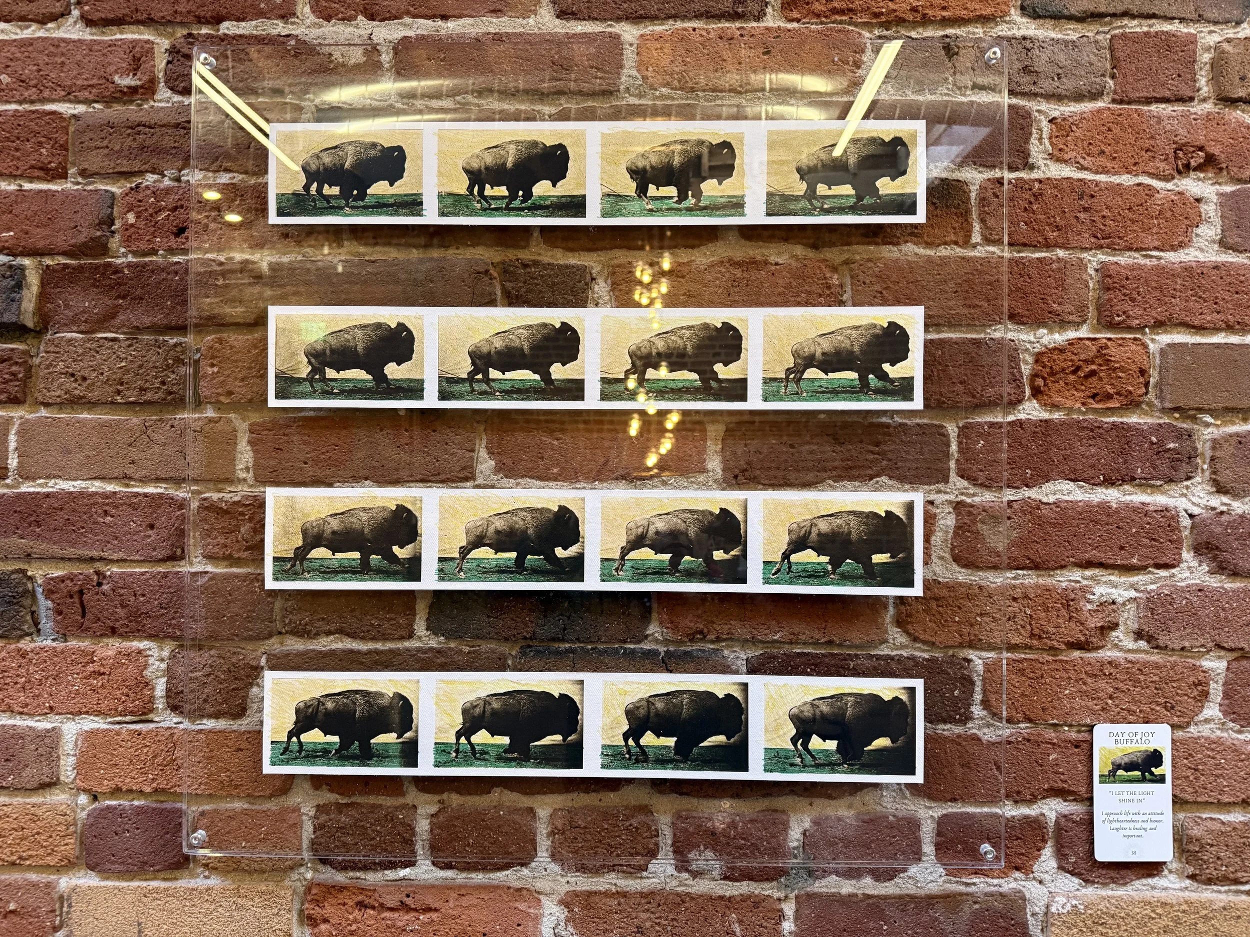 38. Day Of Joy Buffalo.jpeg