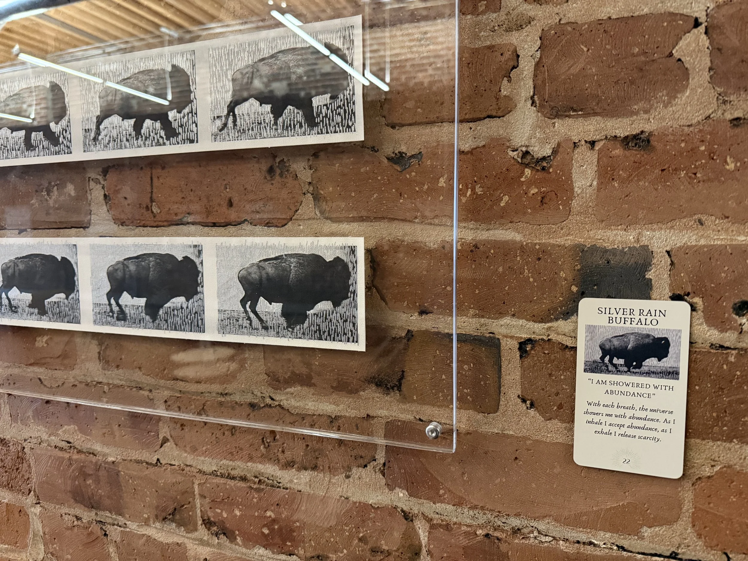 22. Silver Rain Buffalo 22.jpeg