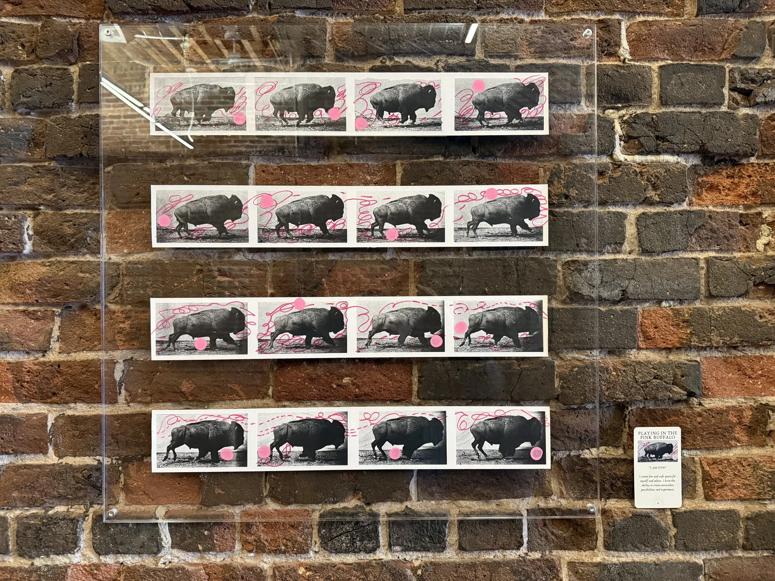 6. Playing In The Pink Buffalo.jpeg