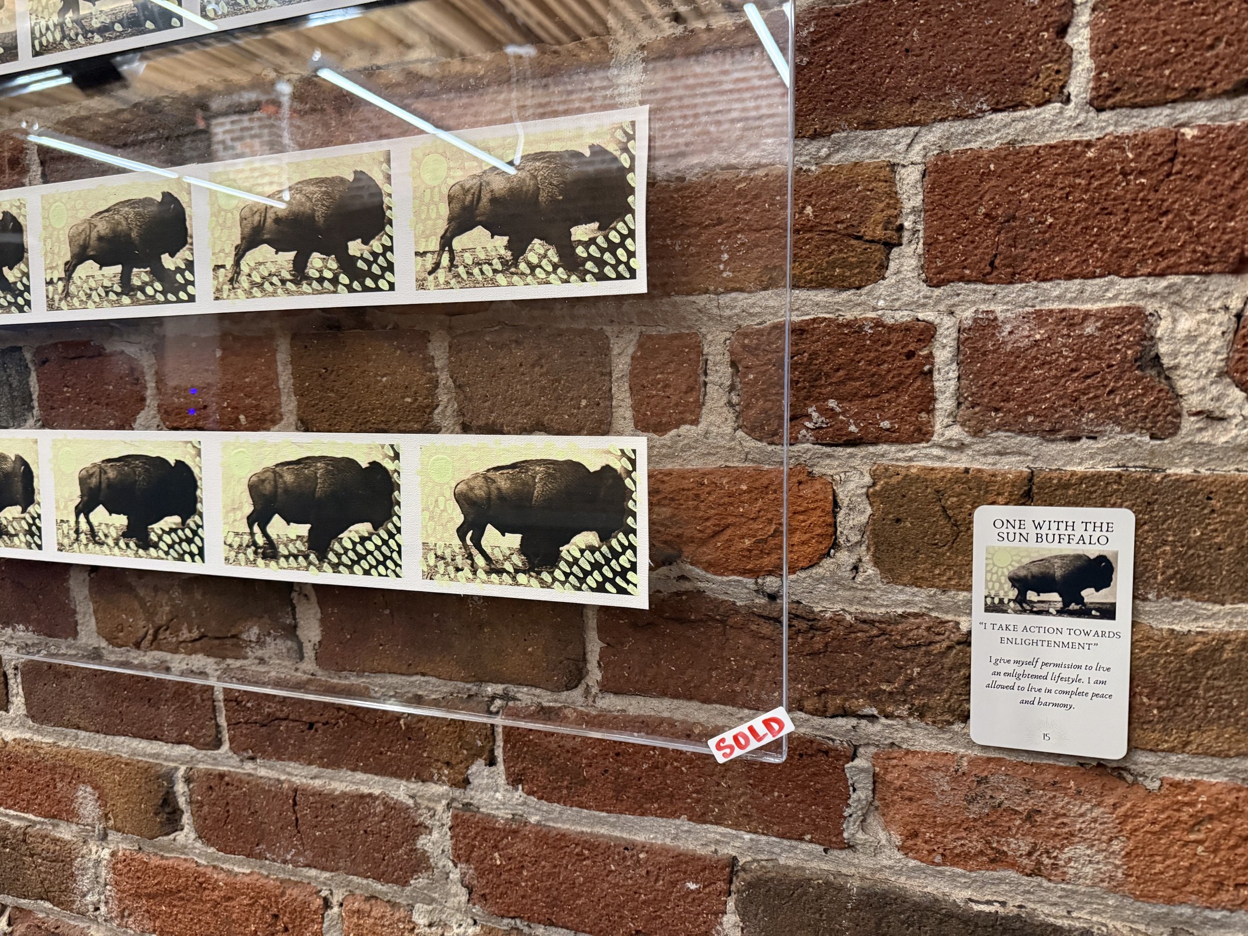 15. One With The Sun Buffalo 15.jpeg