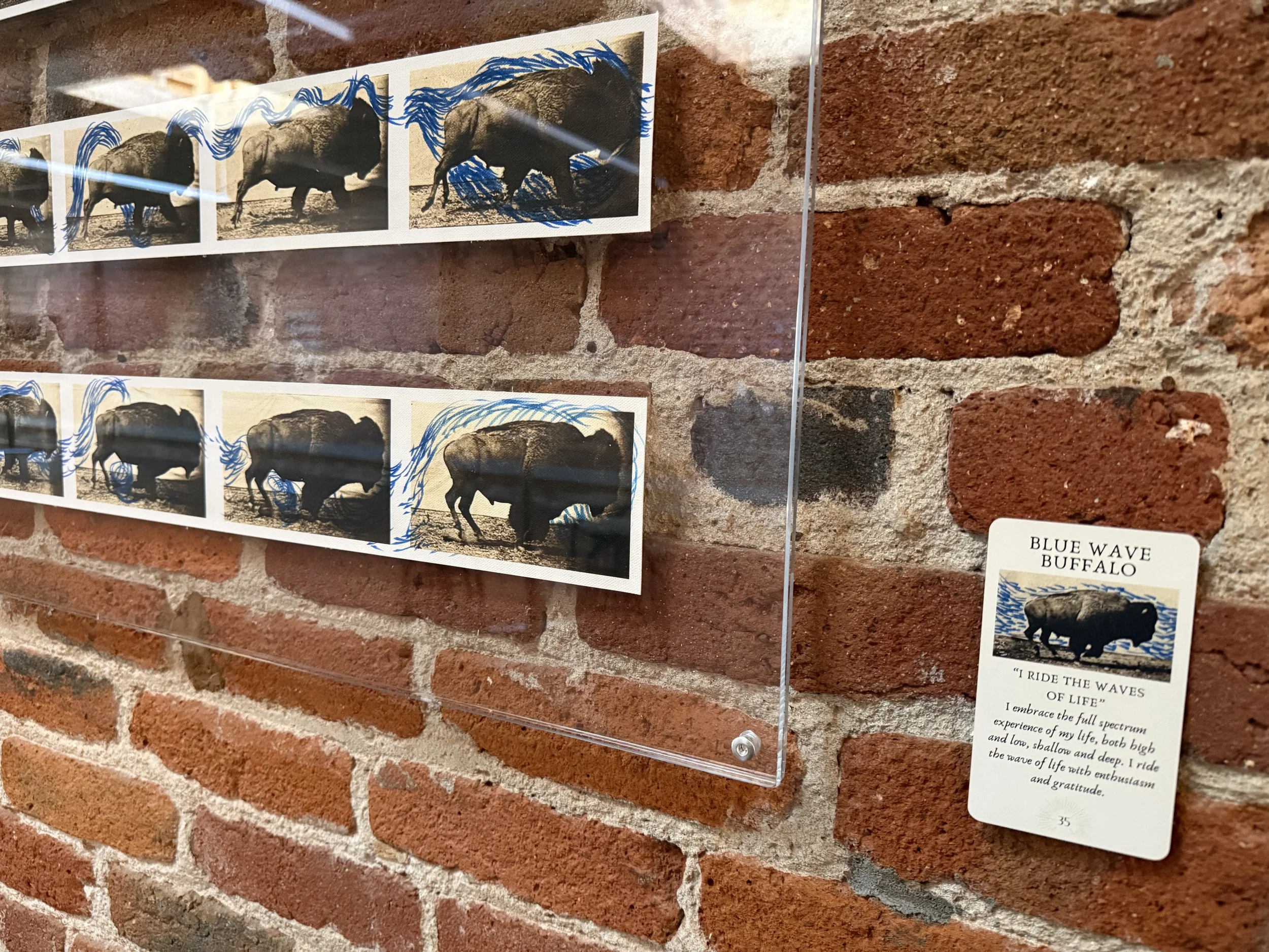 35. Blue Wave Buffalo 35.jpeg