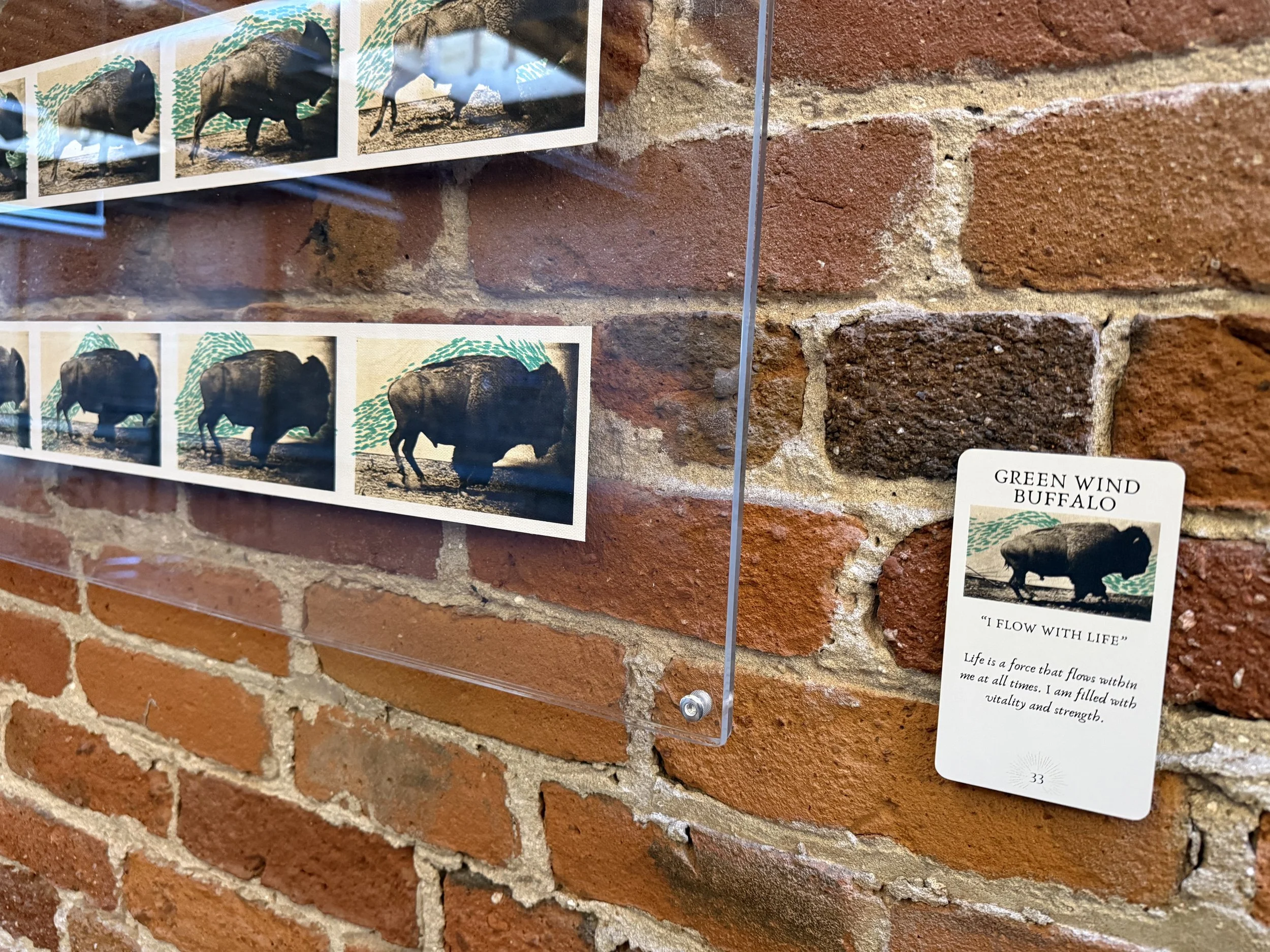 33. Green Wind Buffalo 33.jpeg