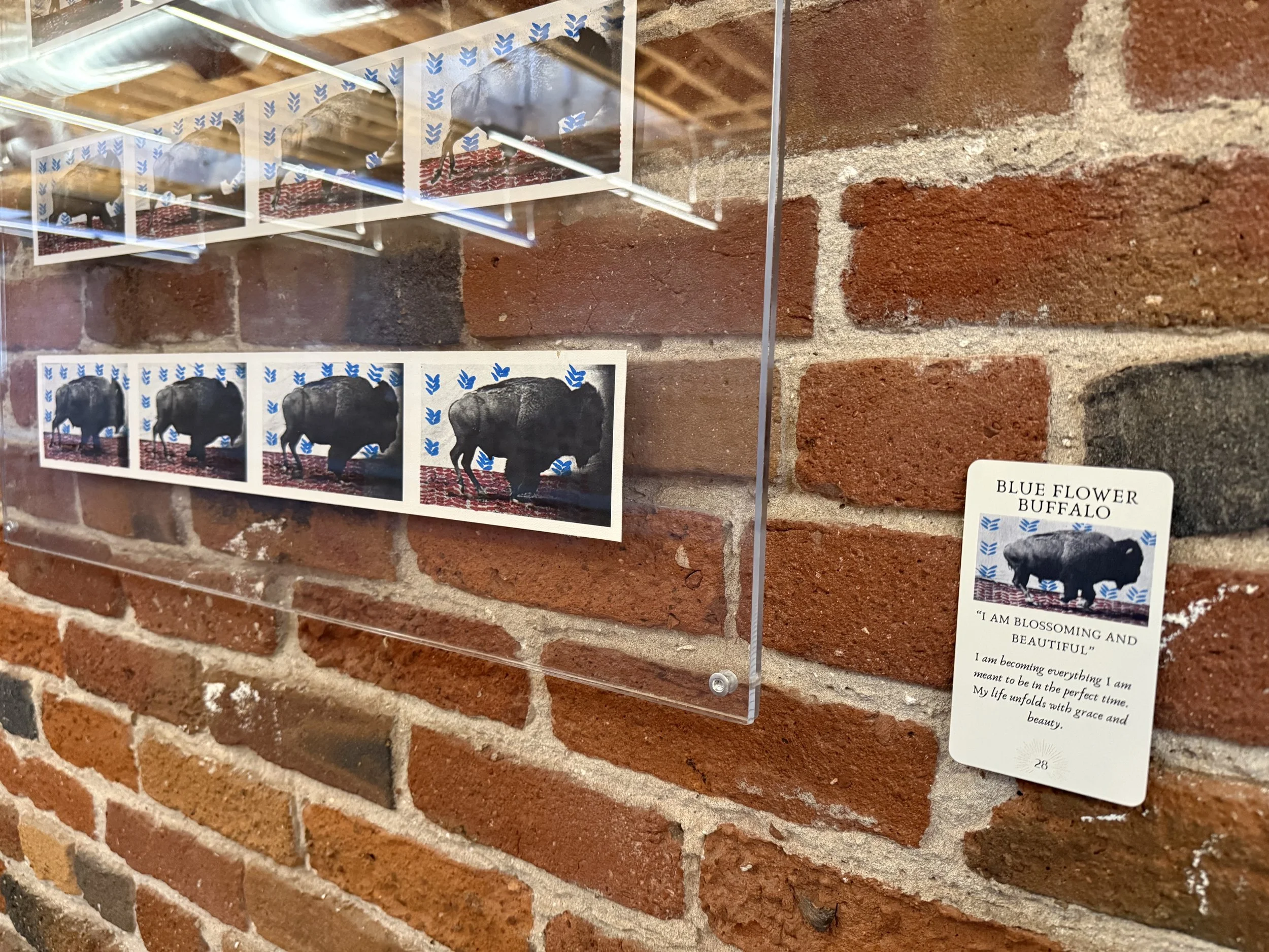 28. Blue Flower Buffalo 28.jpeg