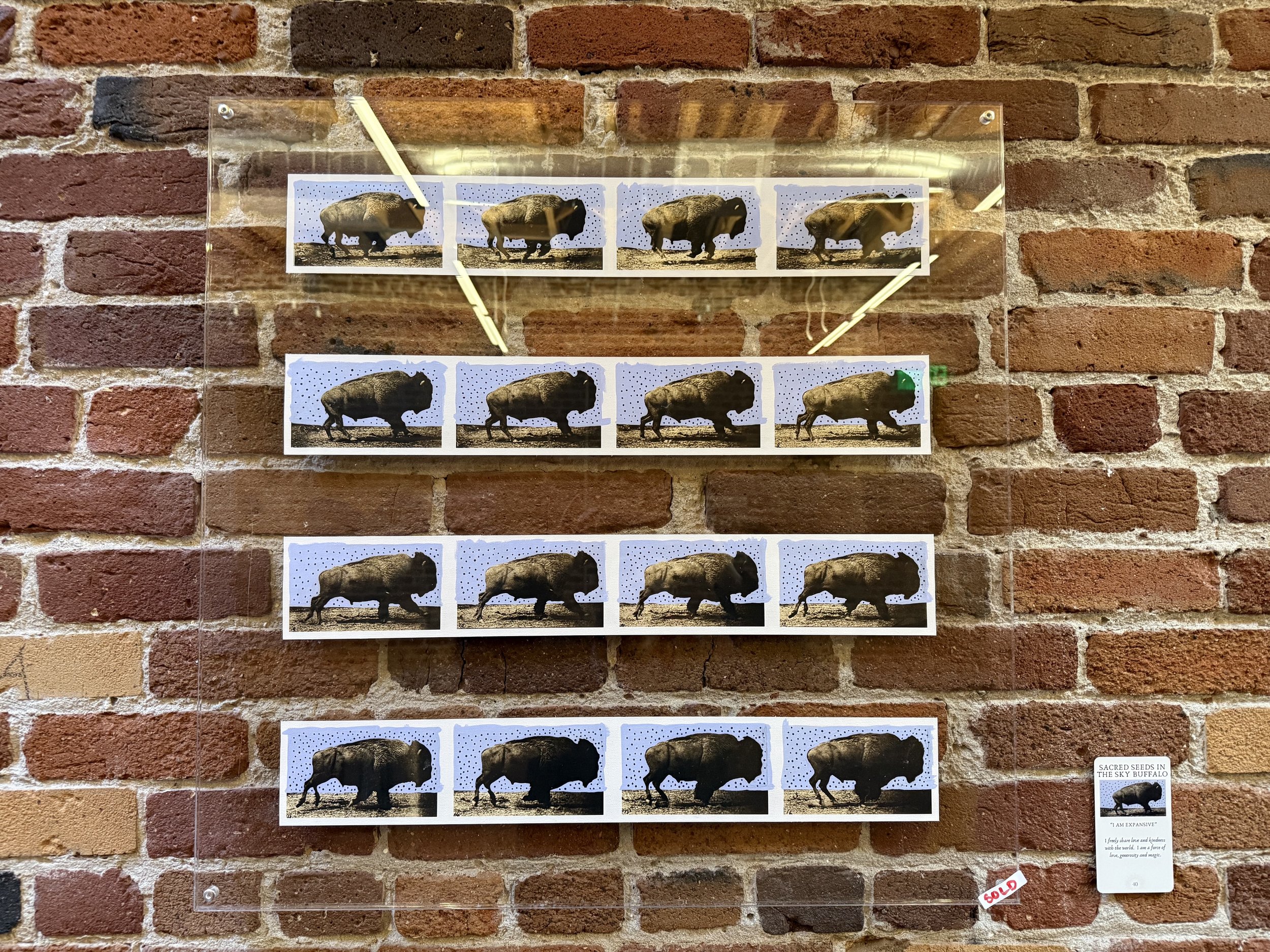 40. Sacred Seeds In The Sky Buffalo.jpeg