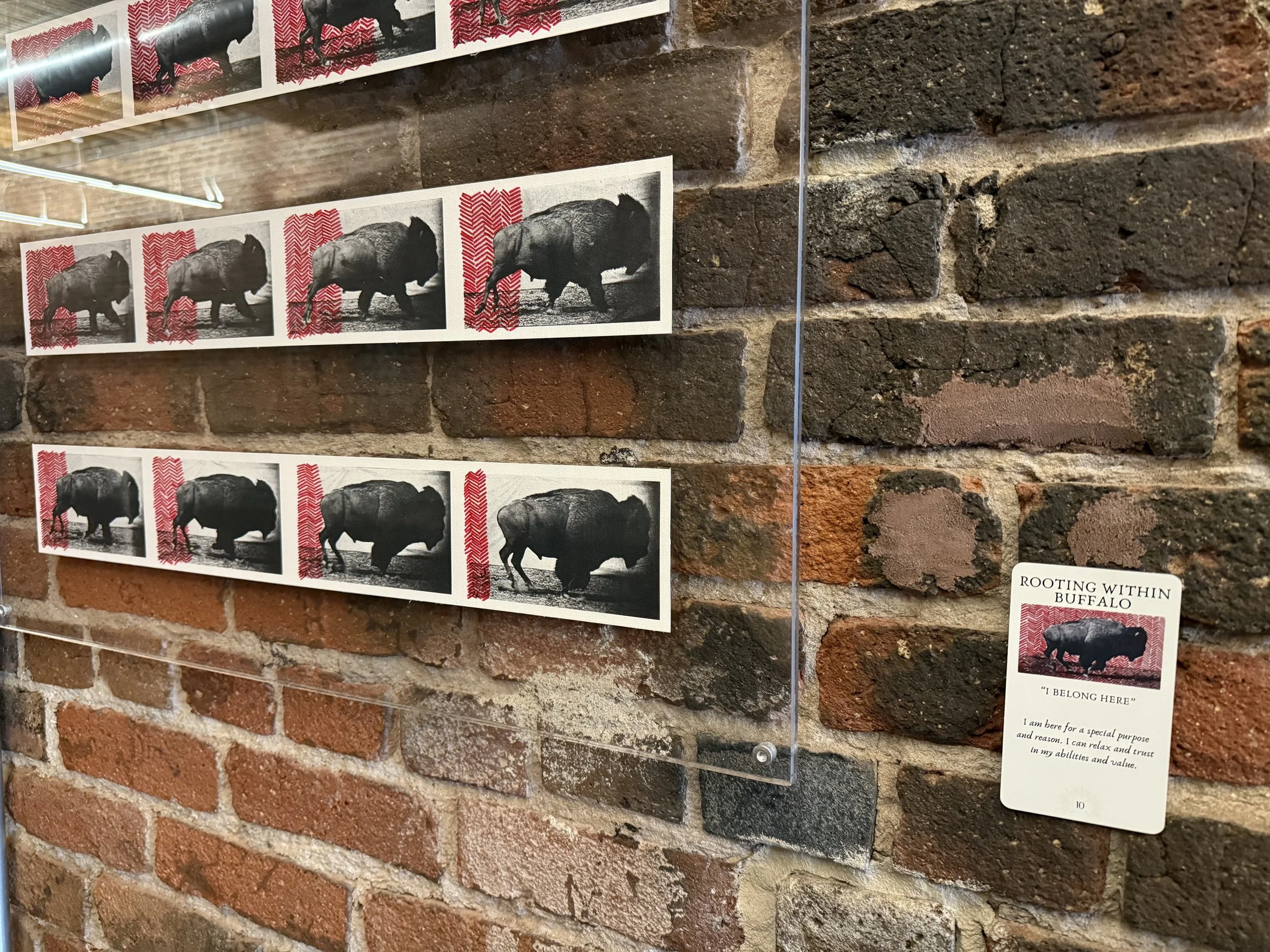 10. Rooting Within Buffalo 10.jpeg