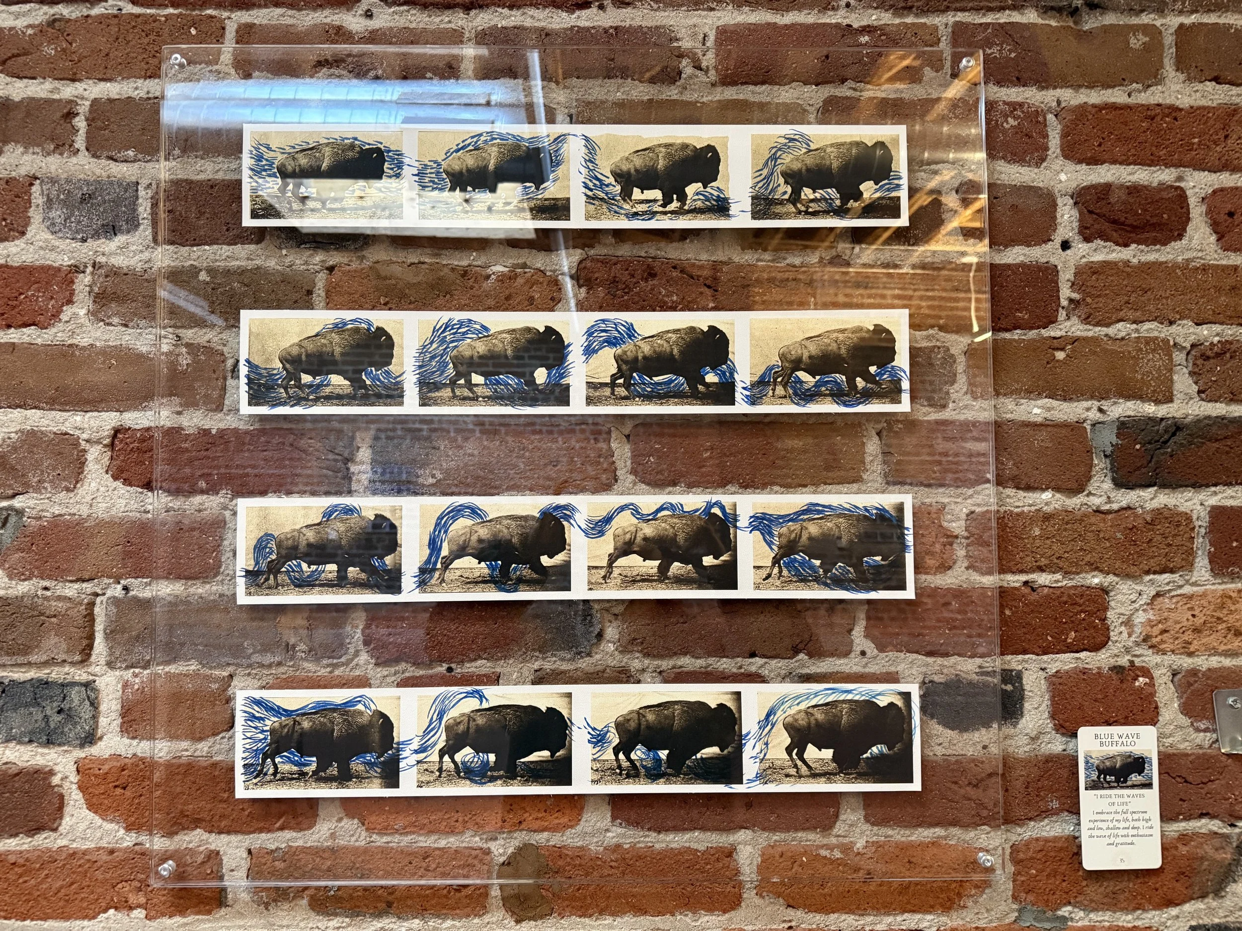 35. Blue Wave Buffalo.jpeg