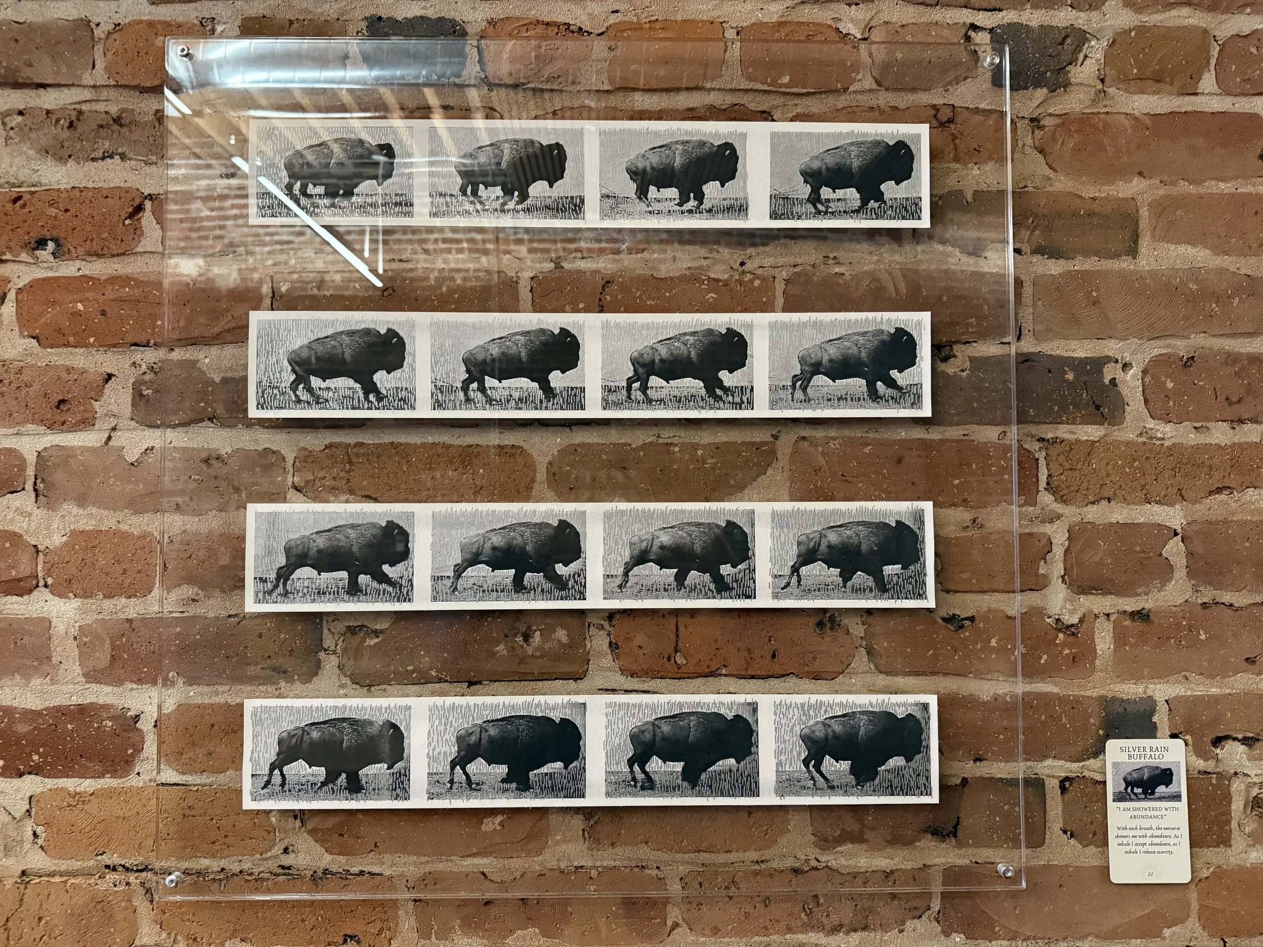 22. Silver Rain Buffalo.jpeg