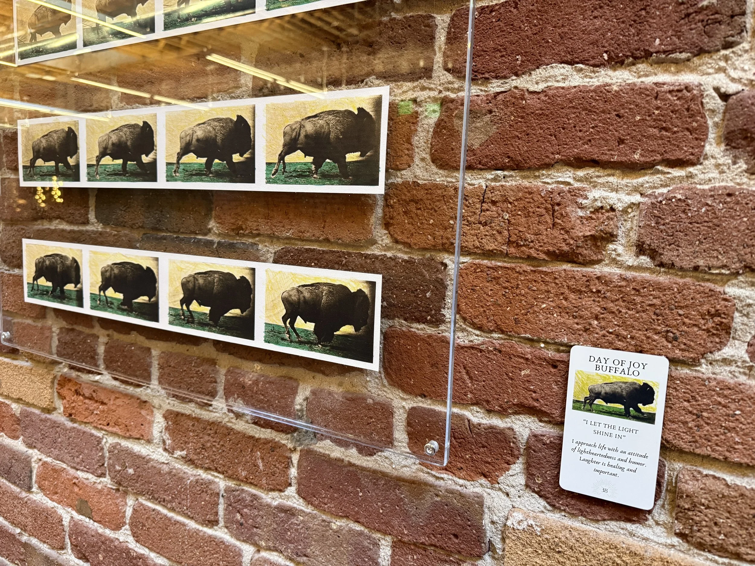 38. Day Of Joy Buffalo 38.jpeg