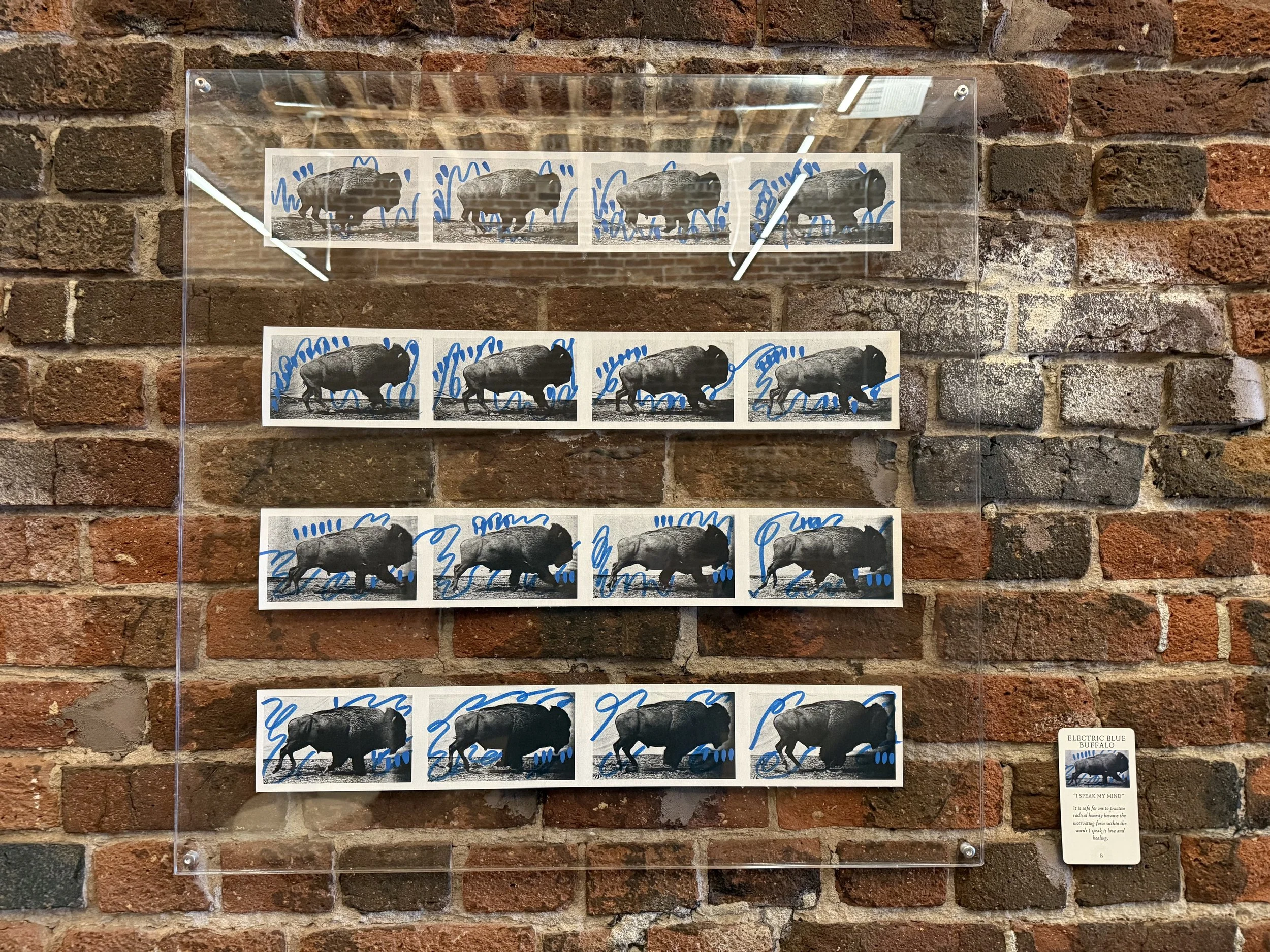 8. Electric Blue Buffalo.jpeg