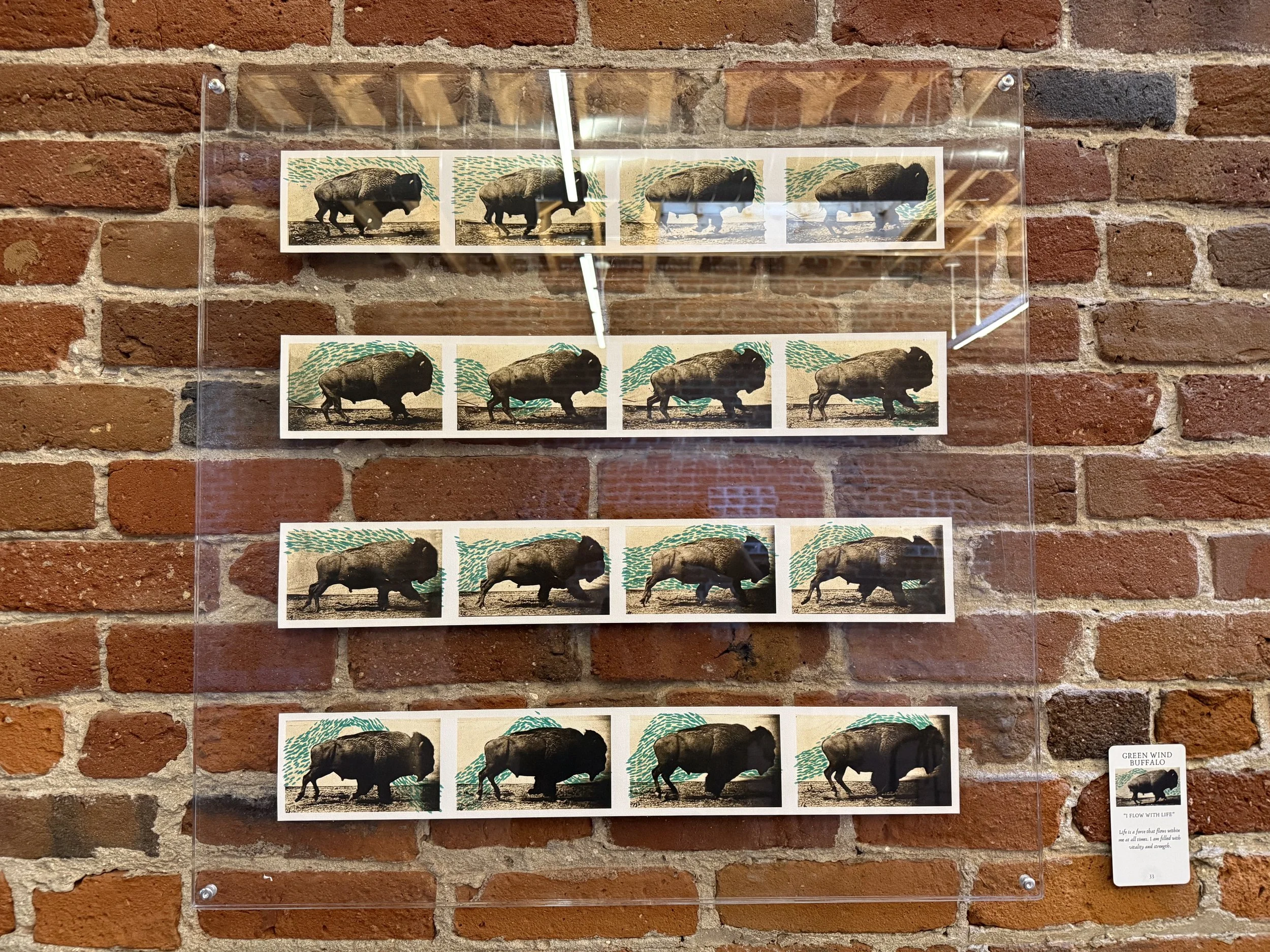 33. Green Wind Buffalo.jpeg