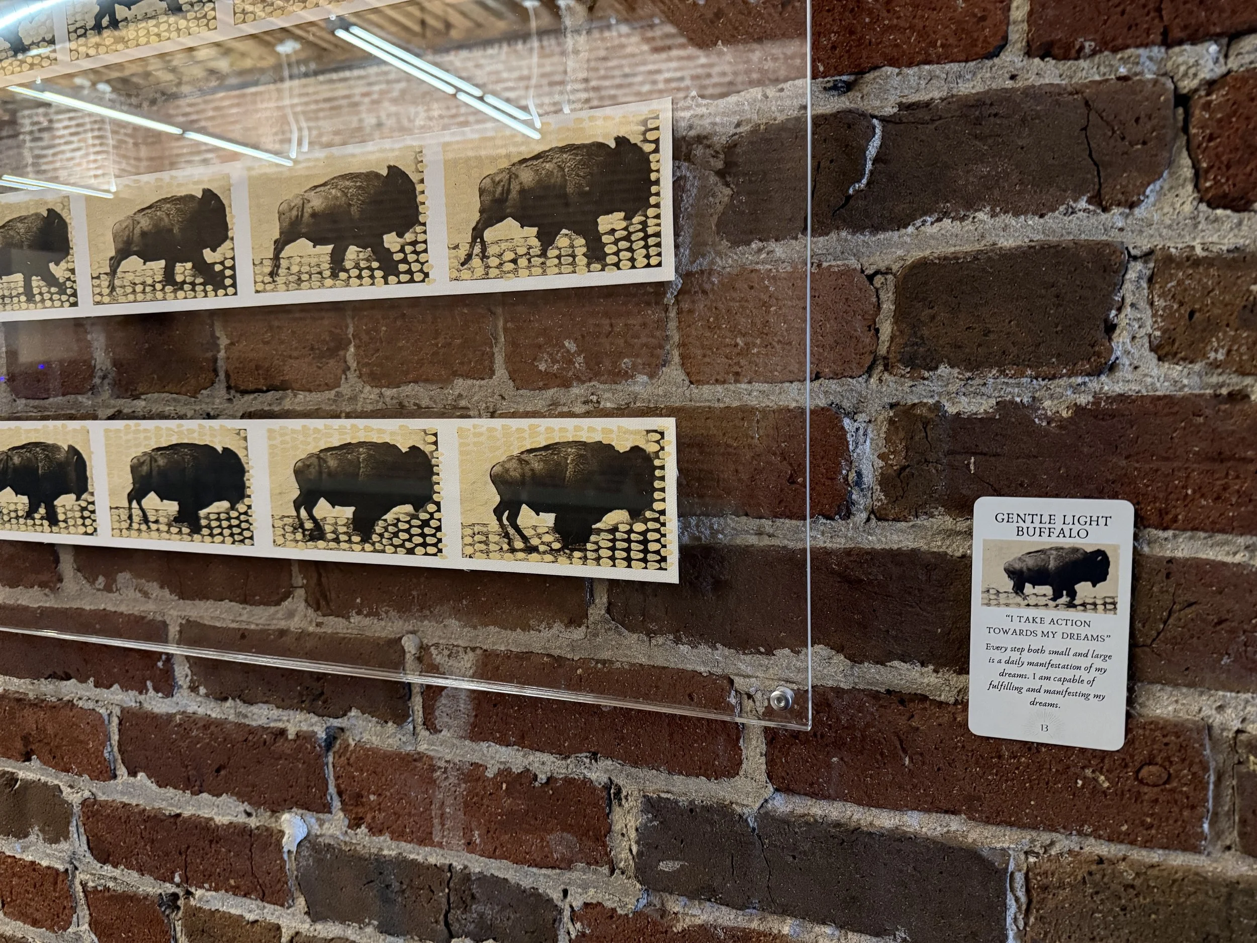 13. Gentle Light Buffalo 13.jpeg