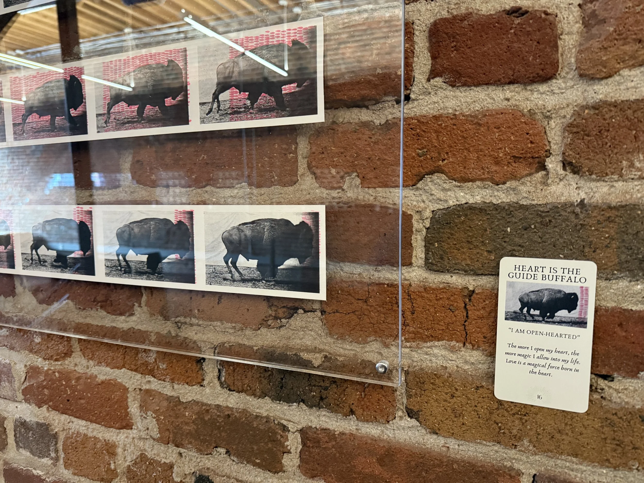 16. Heart Is The Guide Buffalo 16.jpeg