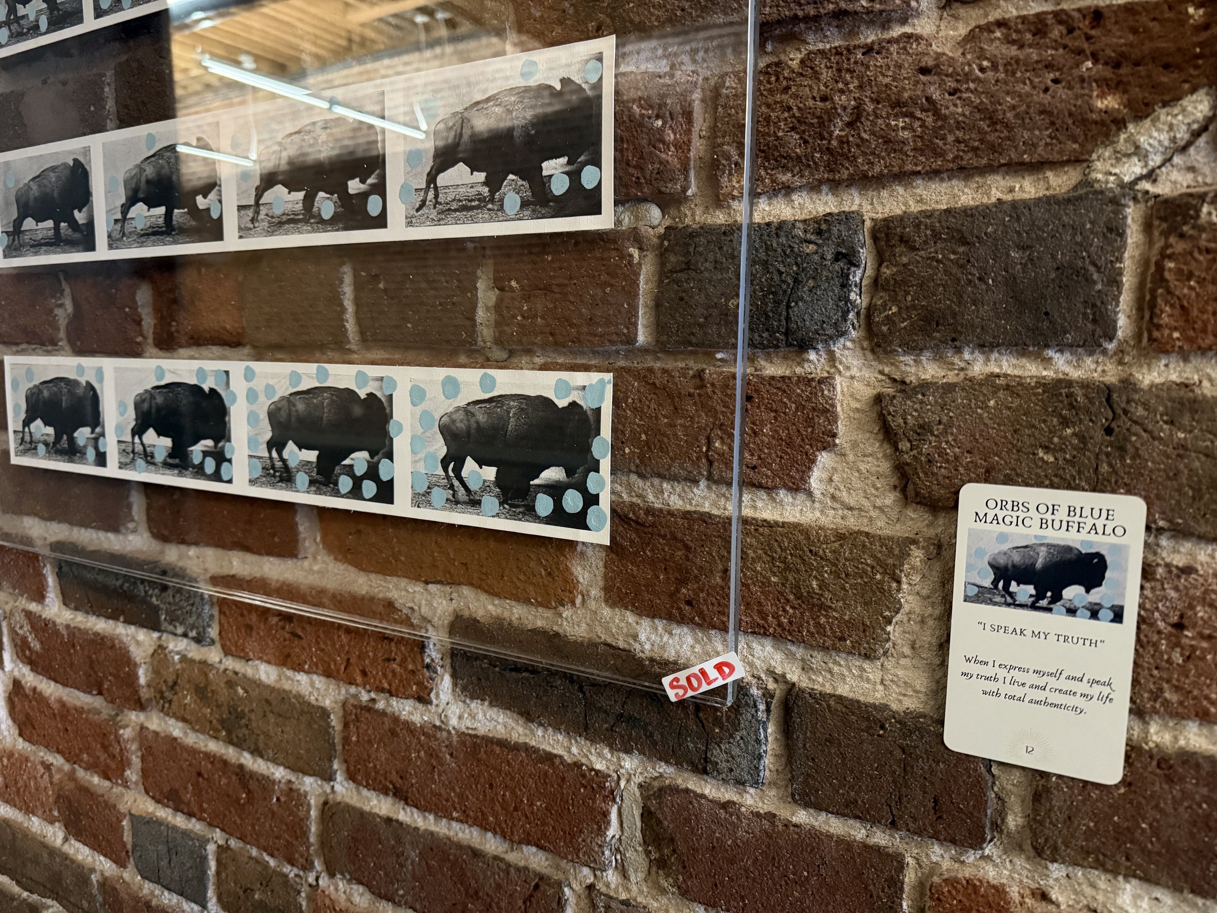 12. Orbs Of Blue Magic Buffalo 12.jpeg
