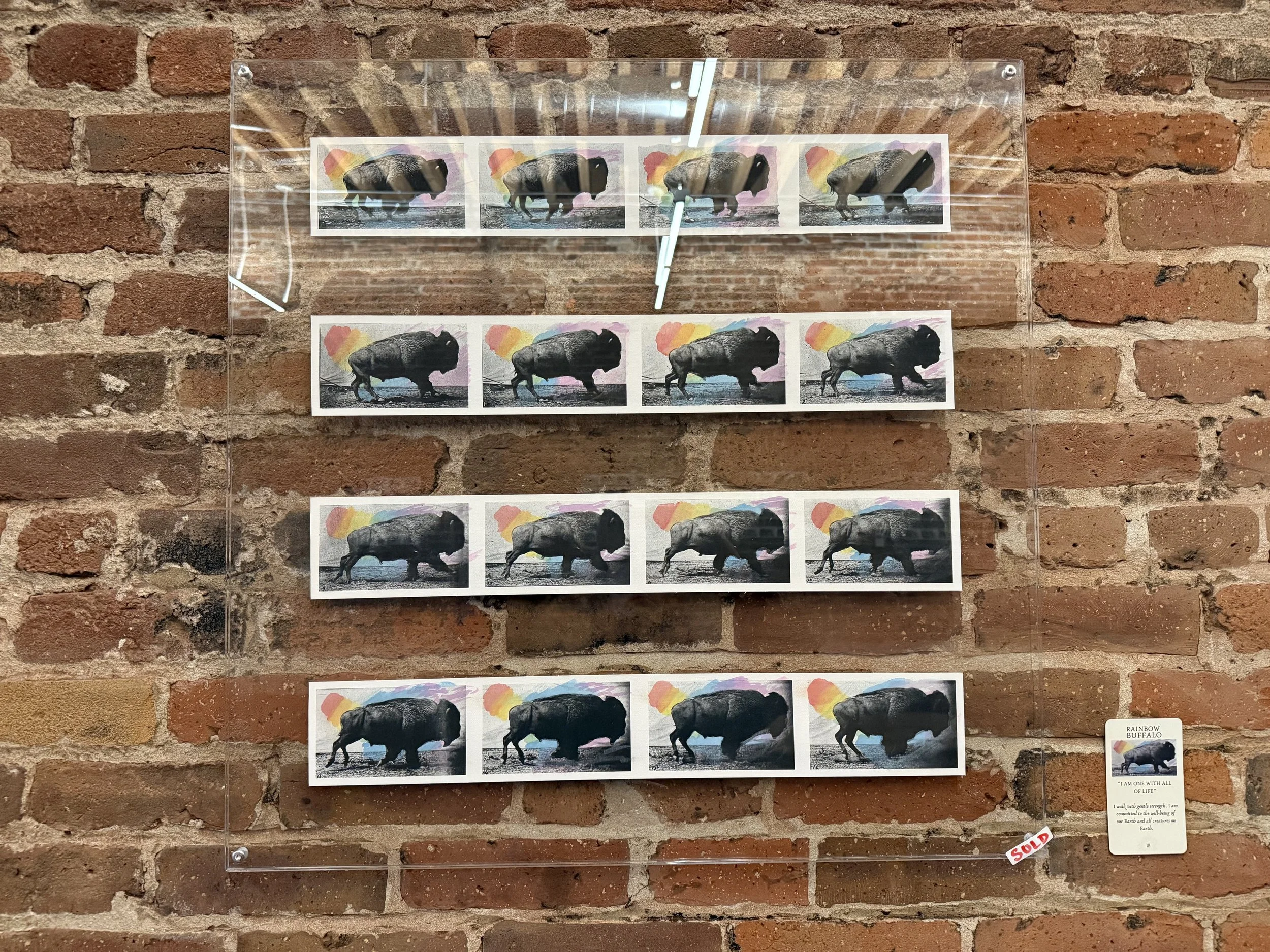 18. Rainbow Buffalo.jpeg