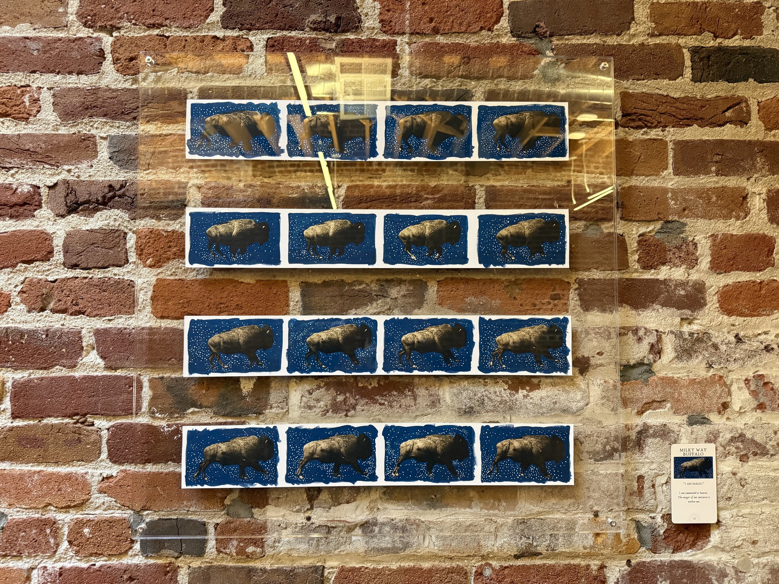 42. Milky Way Buffalo.jpeg