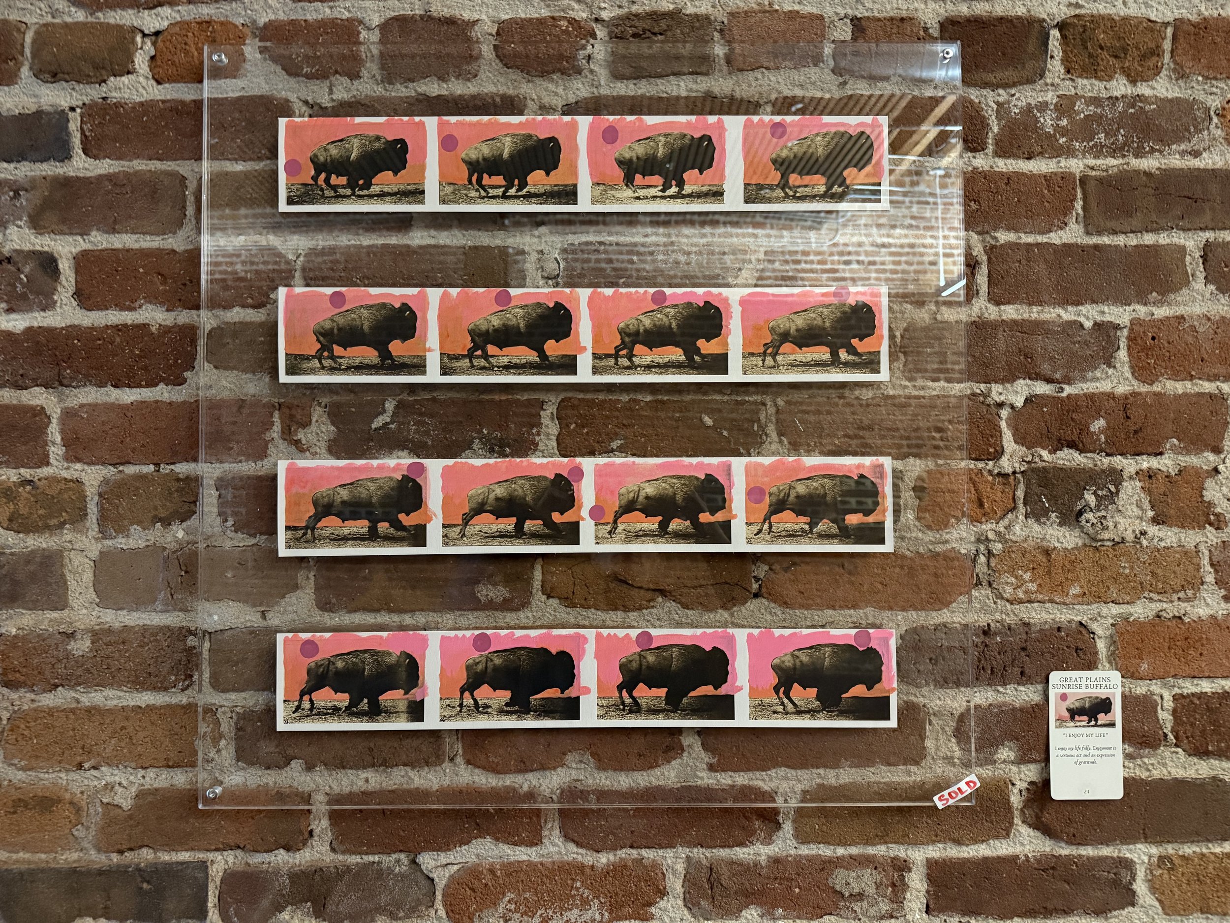 24. Great Plains Sunrise Buffalo.jpeg