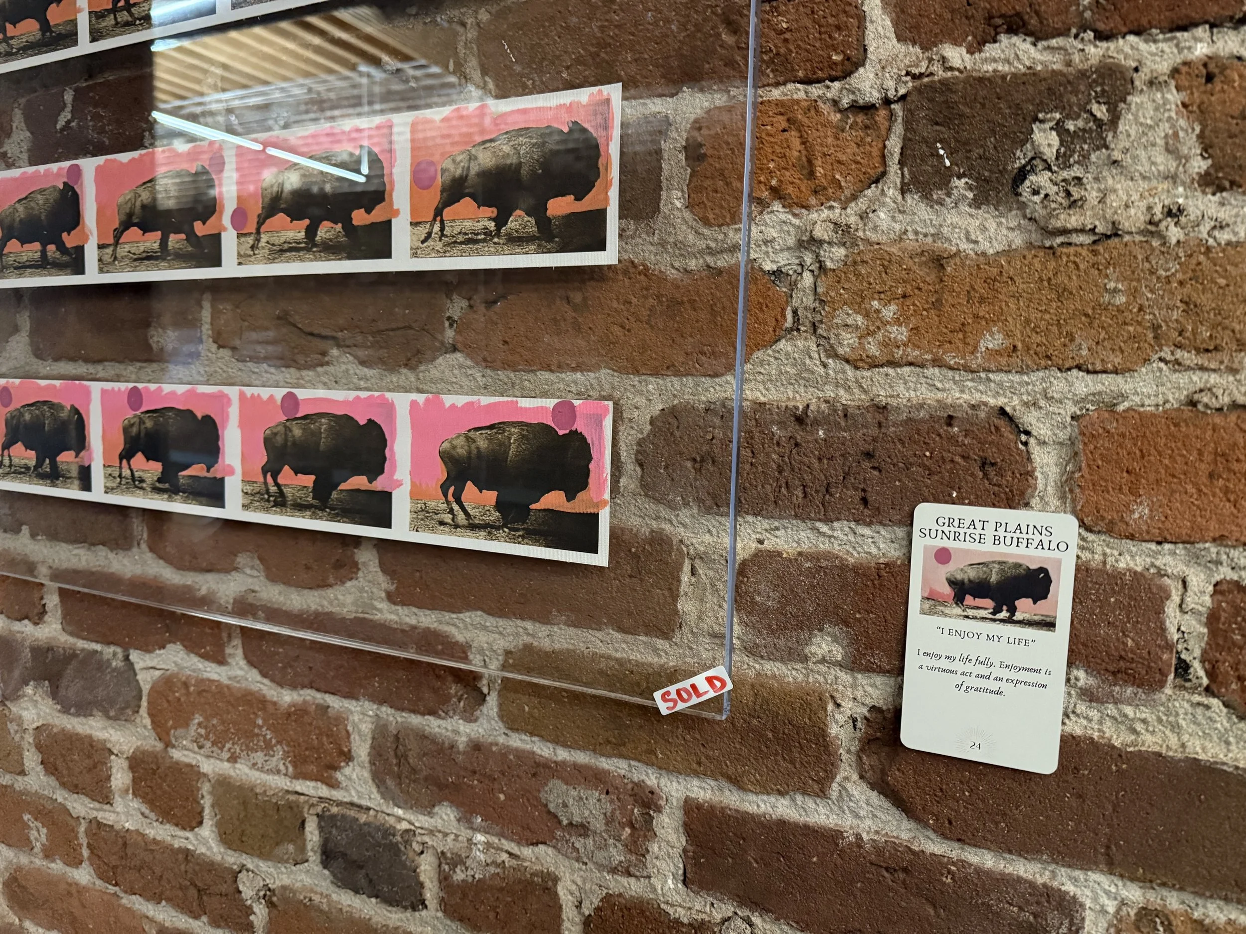 24. Great Plains Sunrise Buffalo 24.jpeg