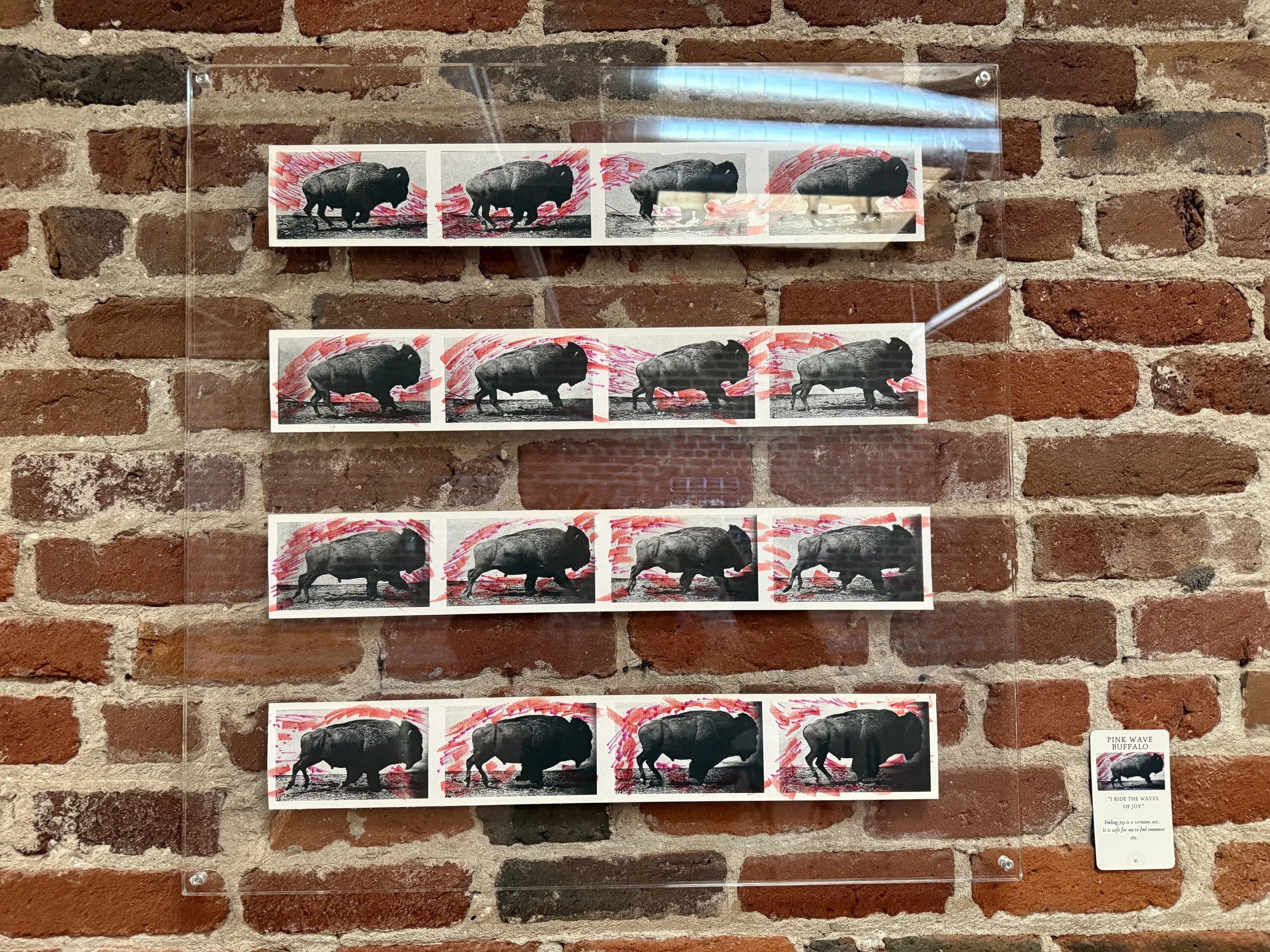 36. Pink Wave Buffalo 36(1).jpeg