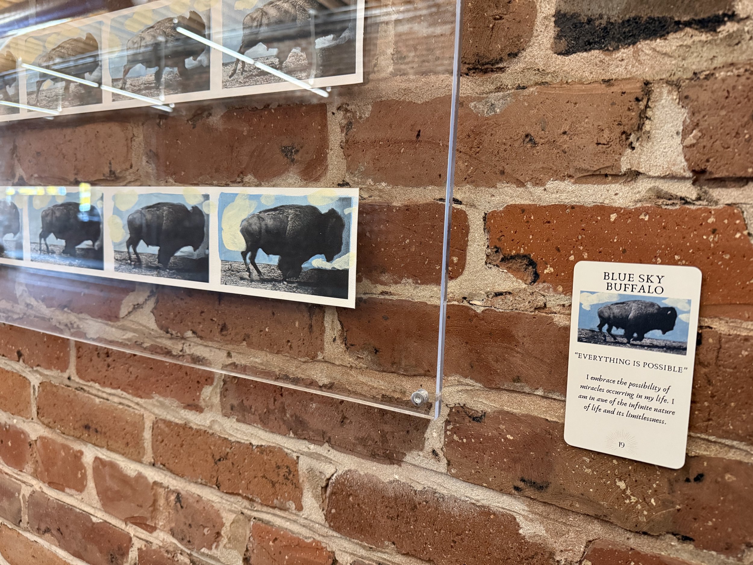 19. Blue Sky Buffalo 19.jpeg