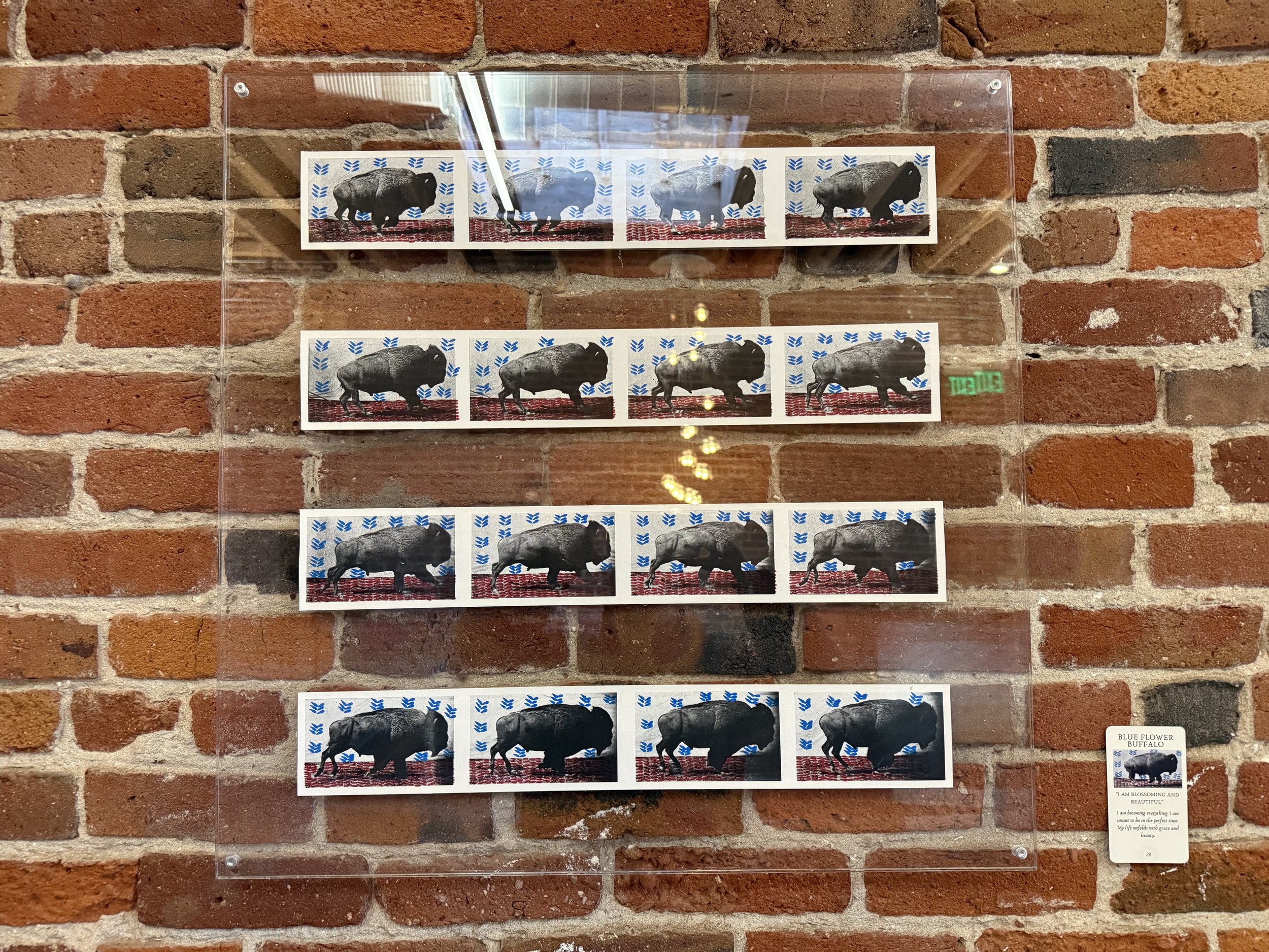 28. Blue Flower Buffalo.jpeg