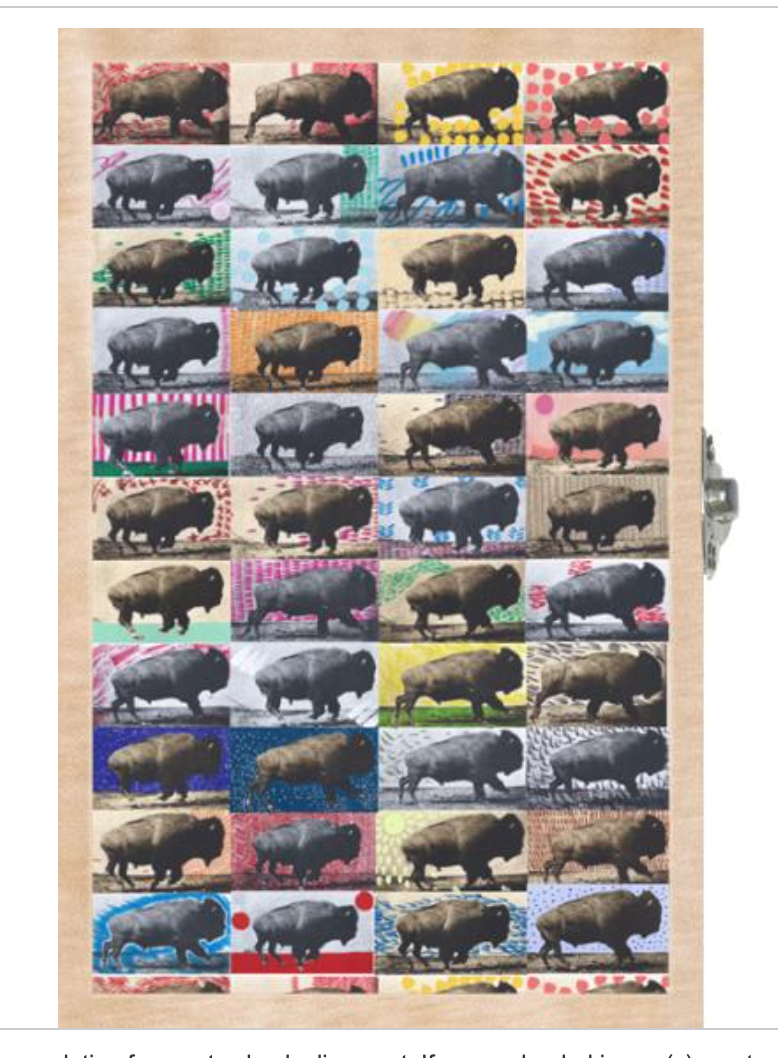 Buffalo Running Medicine Deck with Wooden Box