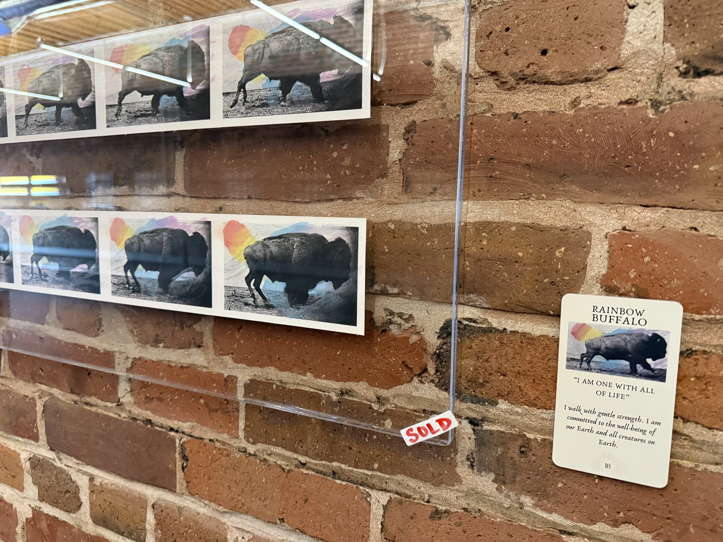 18. Rainbow Buffalo 18.jpeg