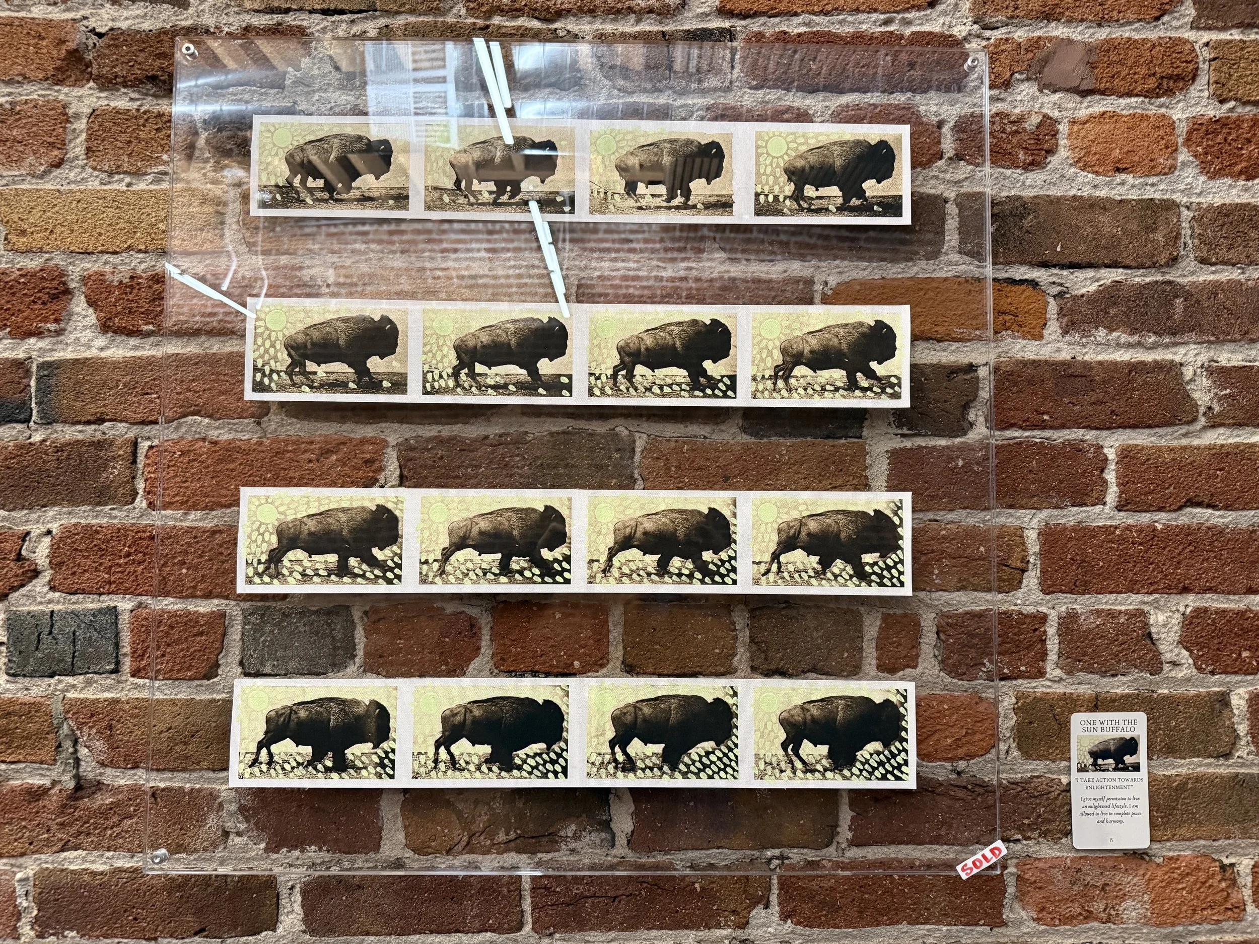 15. One With The Sun Buffalo.jpeg