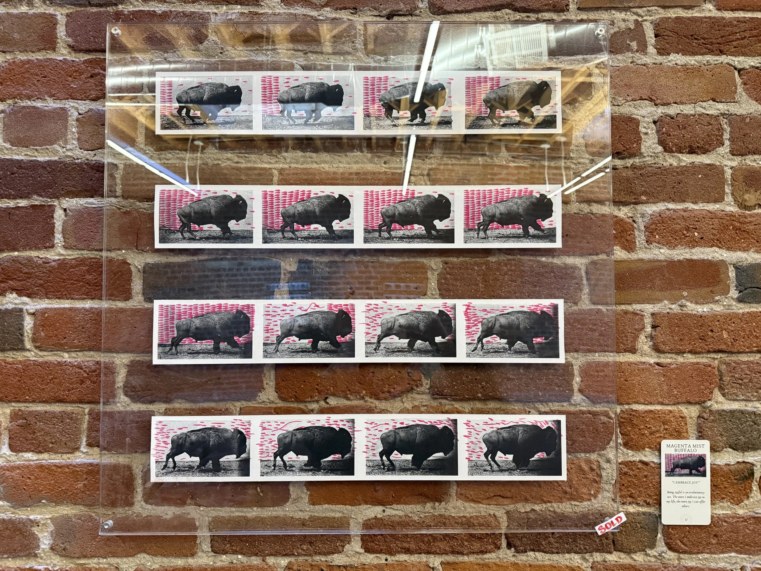 32. Magenta Mist Buffalo.jpeg