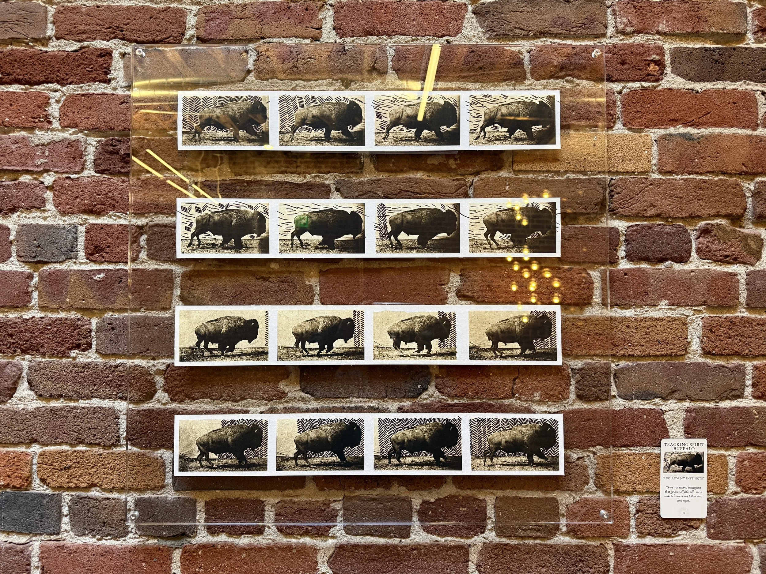 39. Tracking Spirit Buffalo.jpeg