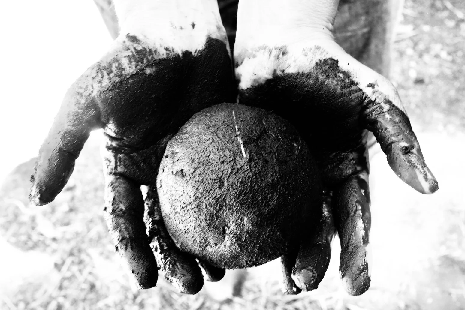 378CAE7A-9102-4F04-9AB5-8380288D221E-5169-000000F8AC71FD31 copy.jpg