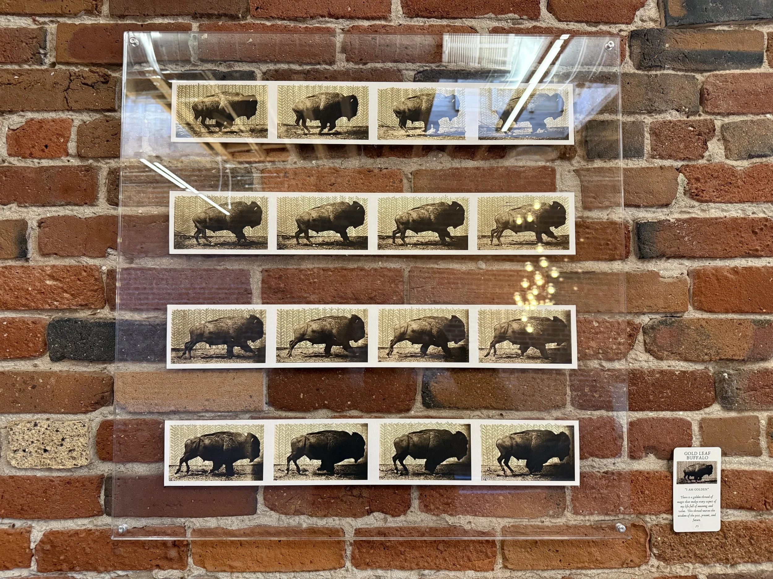 29. Gold Leaf Buffalo.jpeg