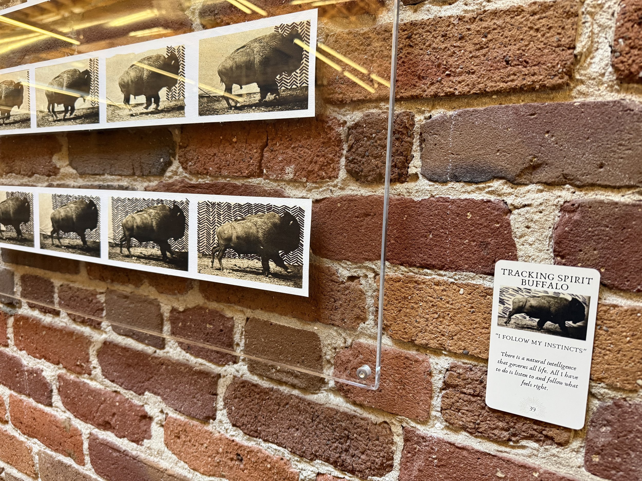 39. Tracking Spirit Buffalo 39.jpeg