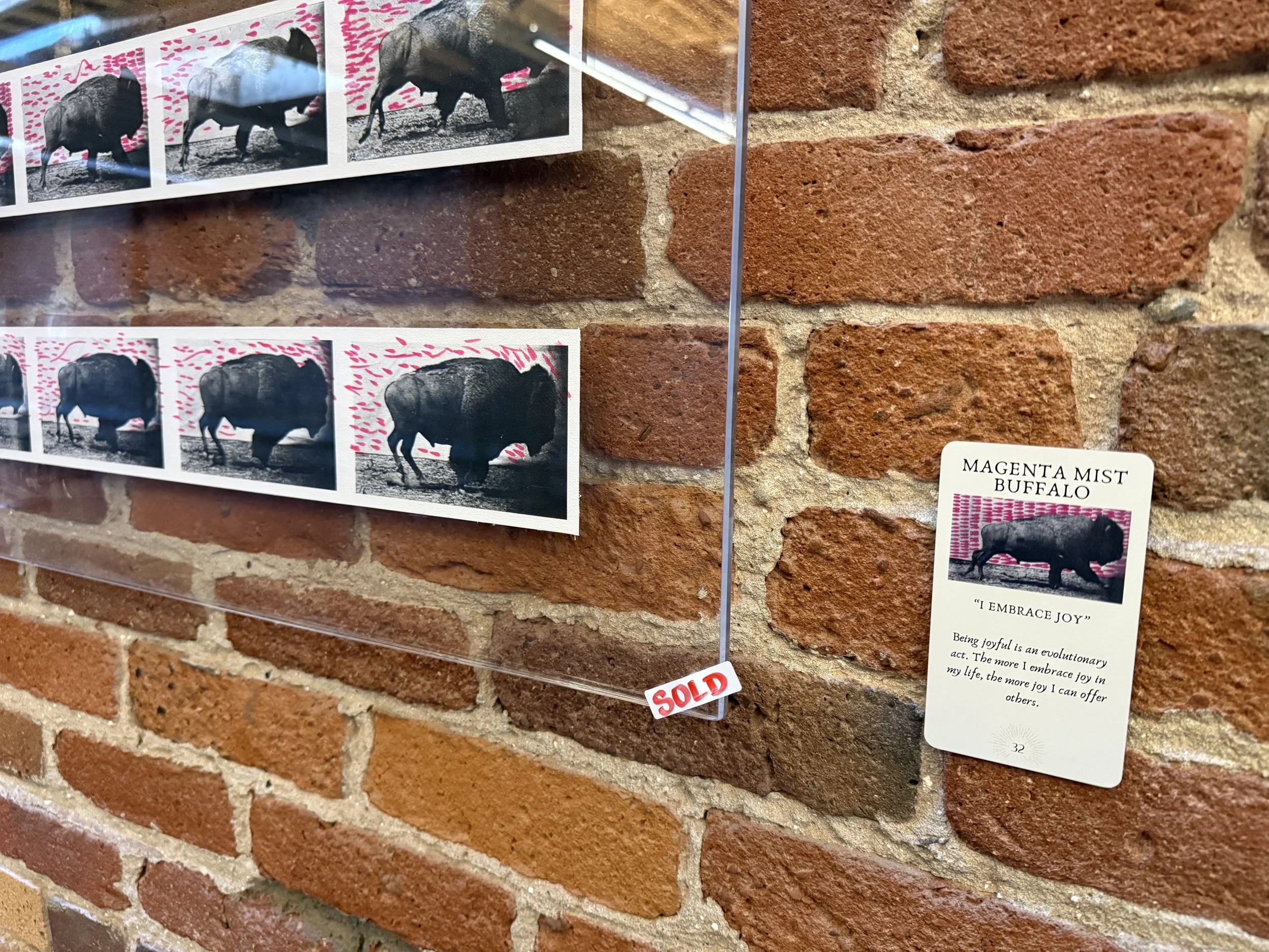 32. Magenta Mist Buffalo 32.jpeg