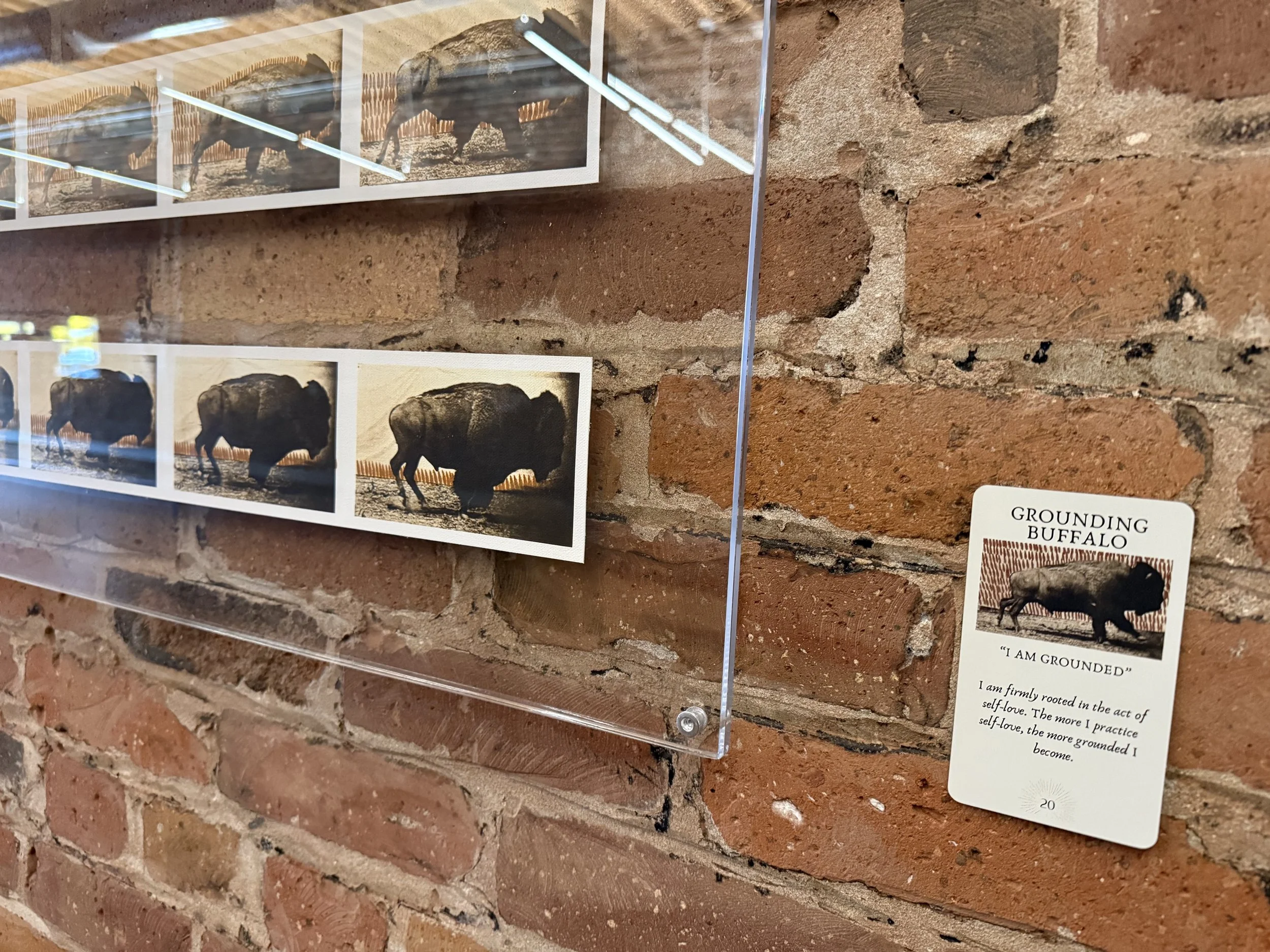 20. Grounding Buffalo 20.jpeg