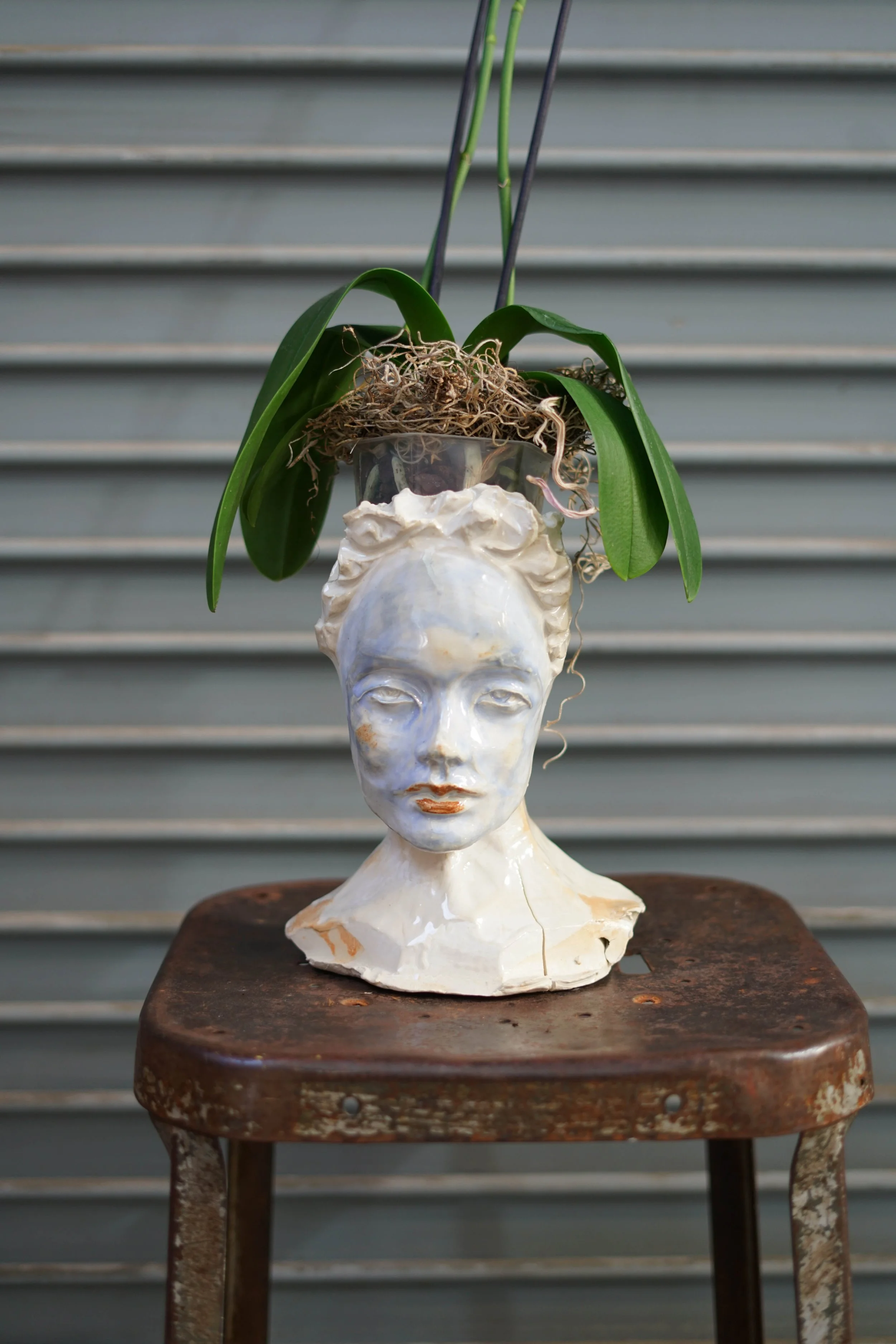 alfee_heads-12.jpg