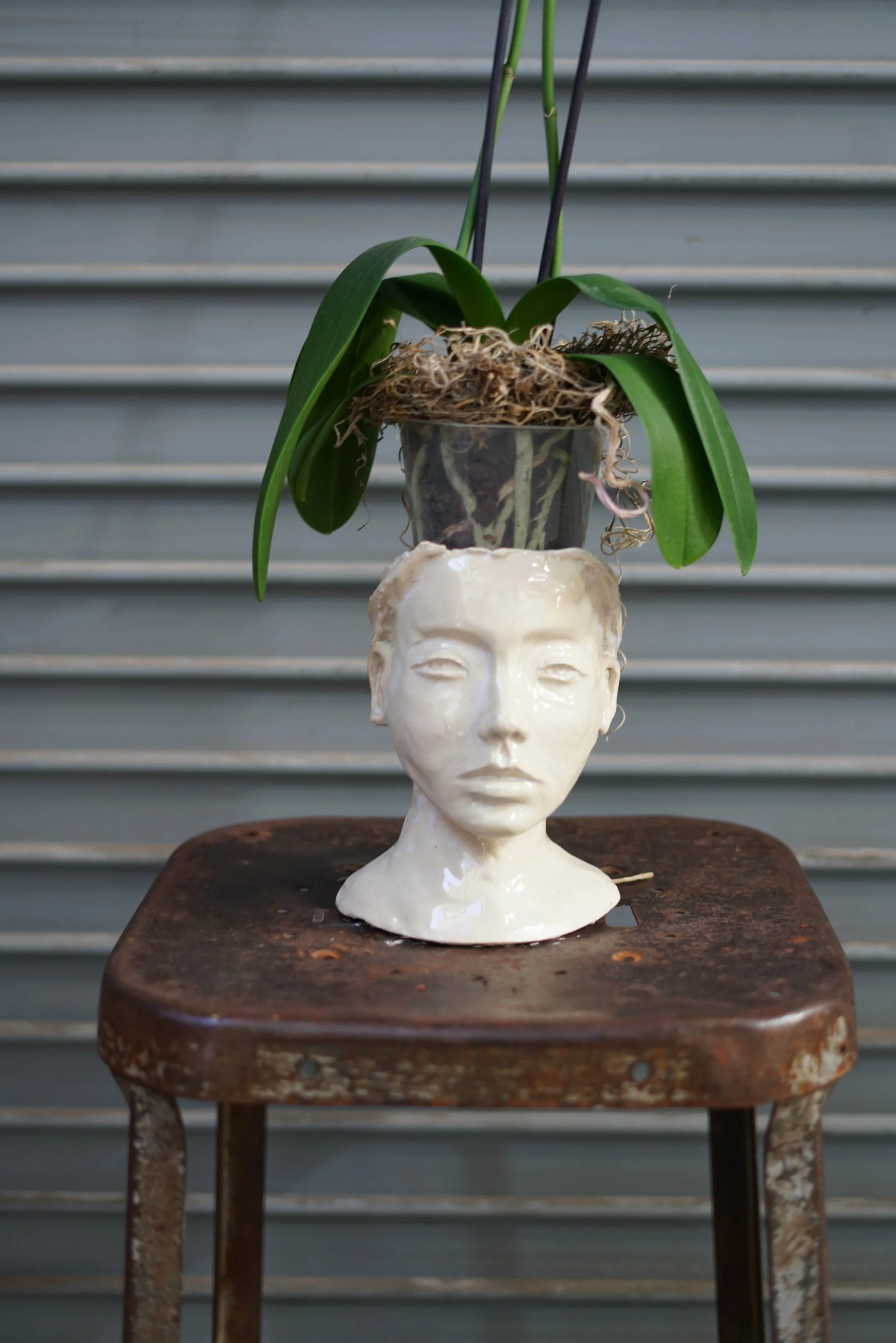 alfee_heads-05.jpg
