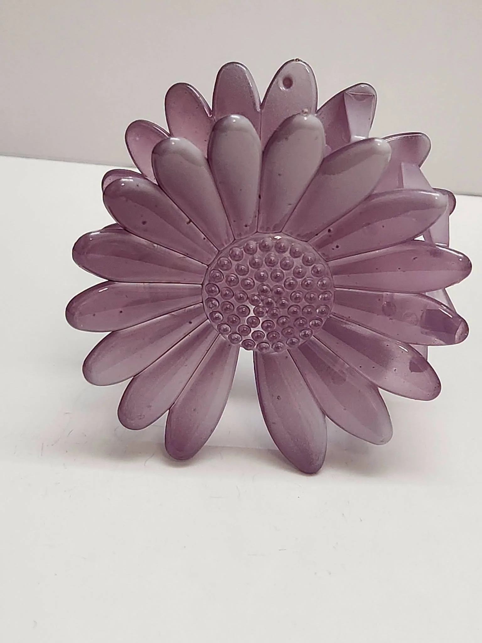 Daisy claw purple.jpeg