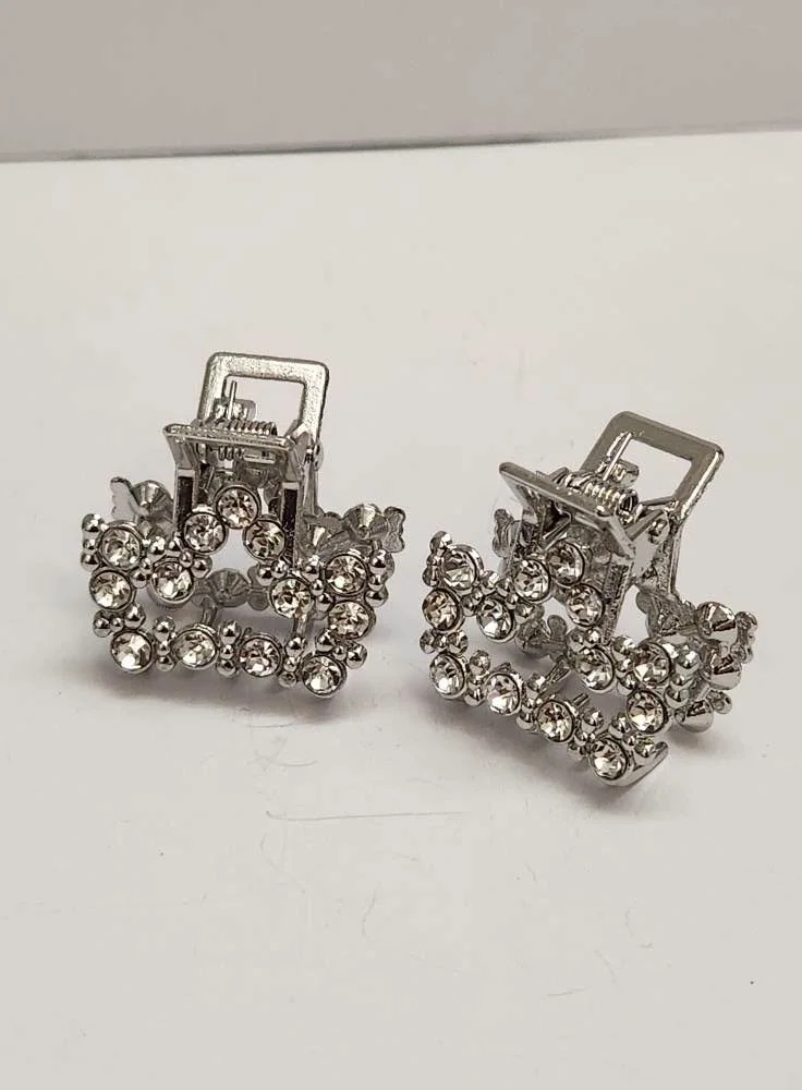Mini crystal claw silver.jpeg