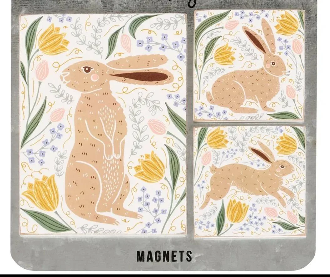 magnets rabbit.jpg