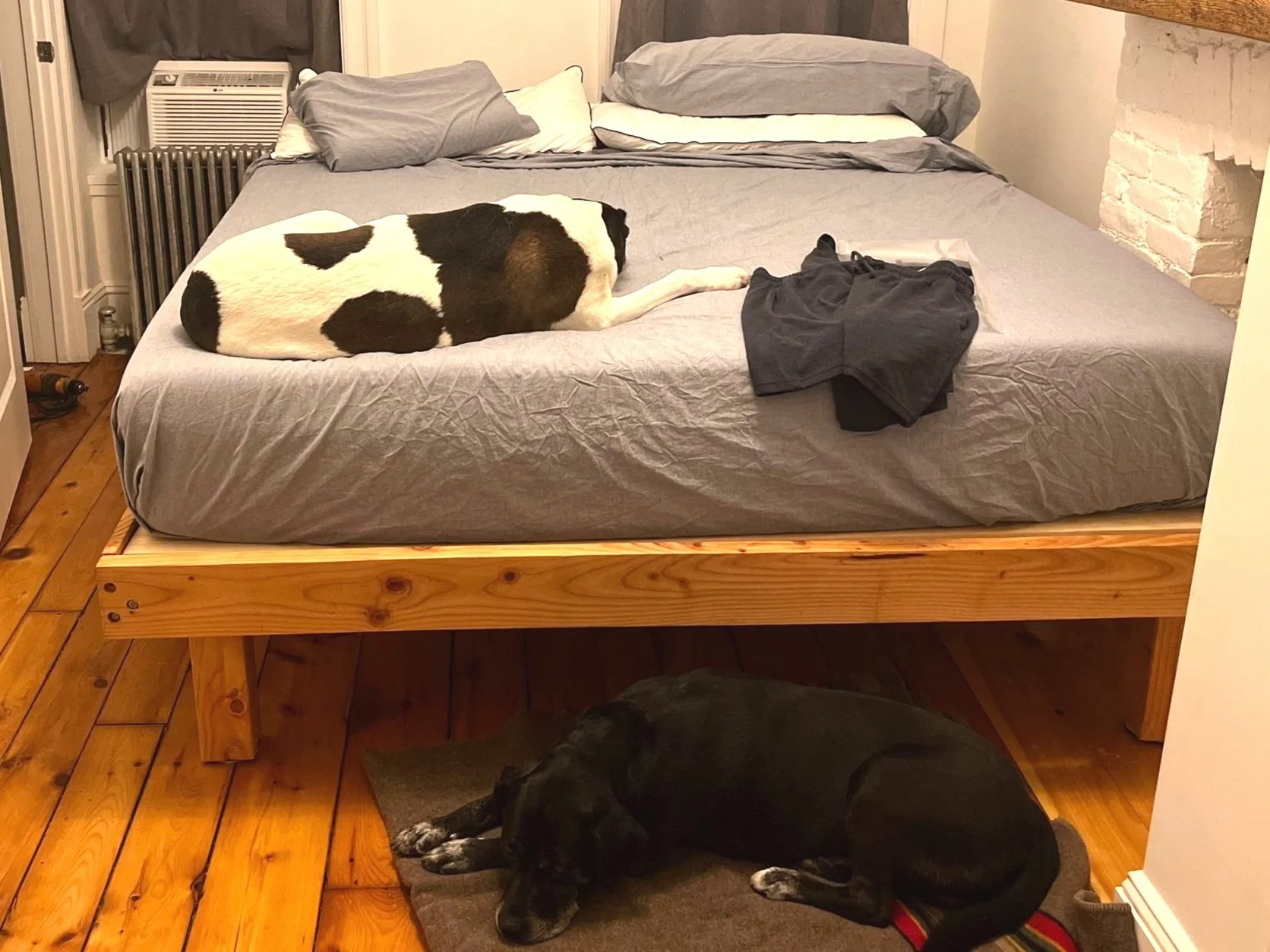 bed_1.jpg