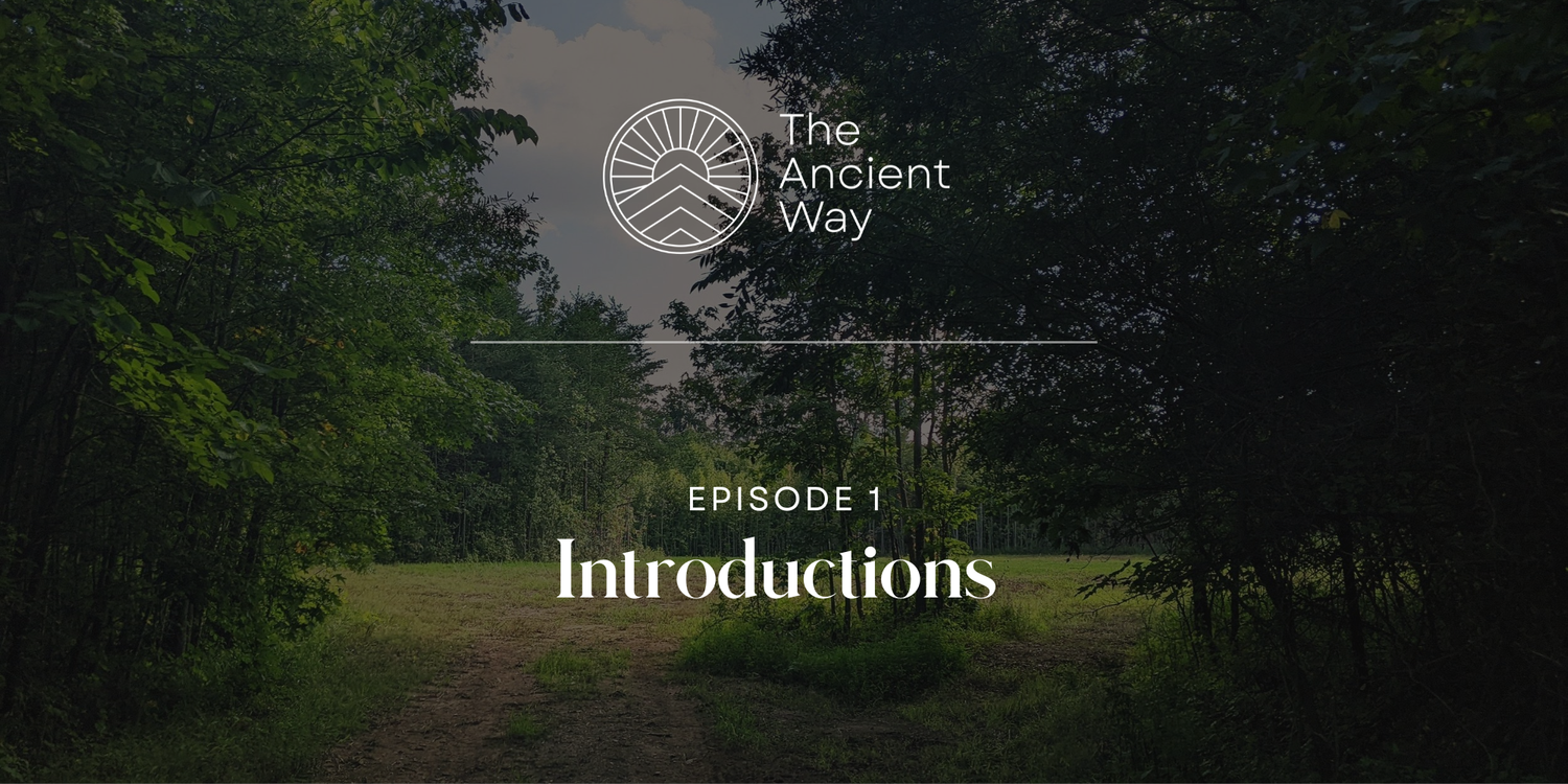 Episode 1: Introductions episode artwork