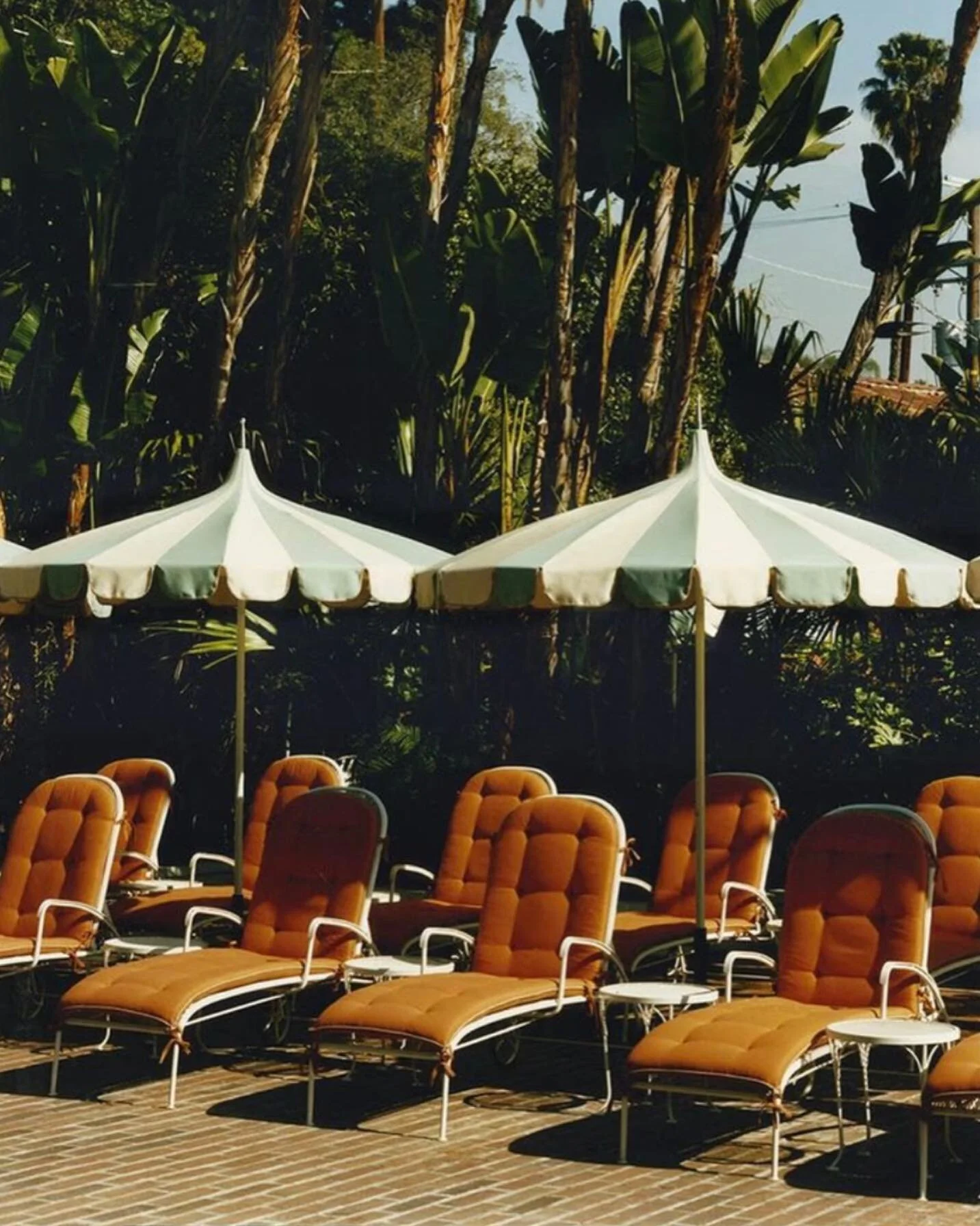 What dreams are made of //

#groveandgatherinspo