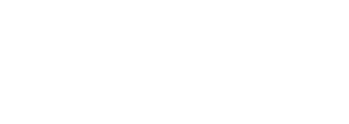 The Network Endowment
