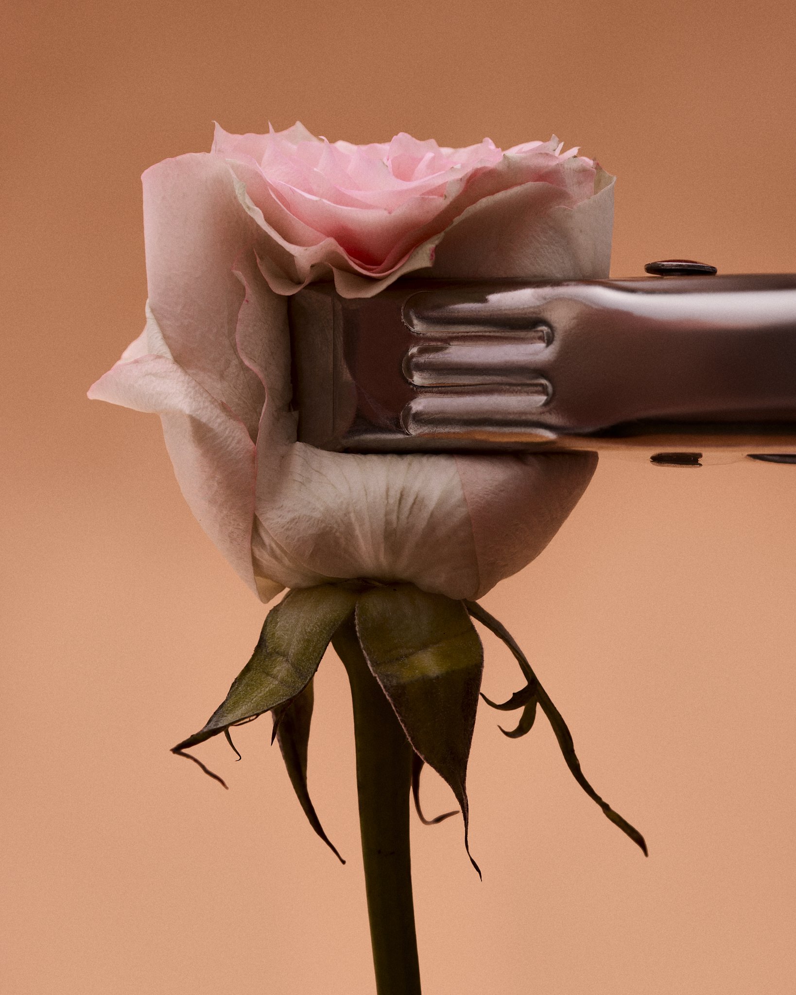 Henry_Rose_9220.jpg