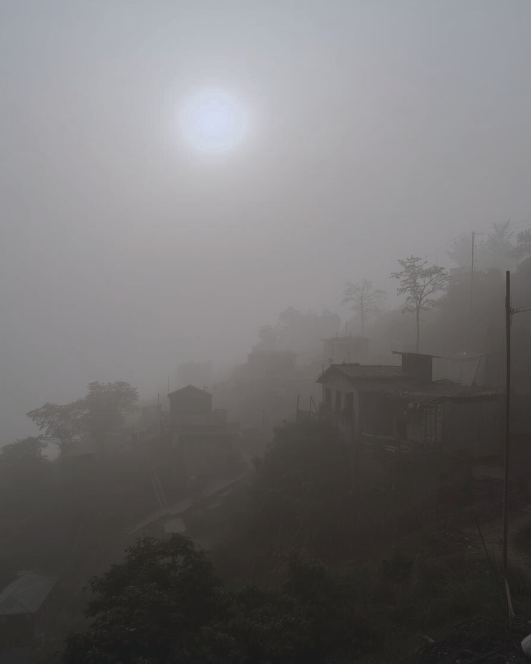 January Content (7).png